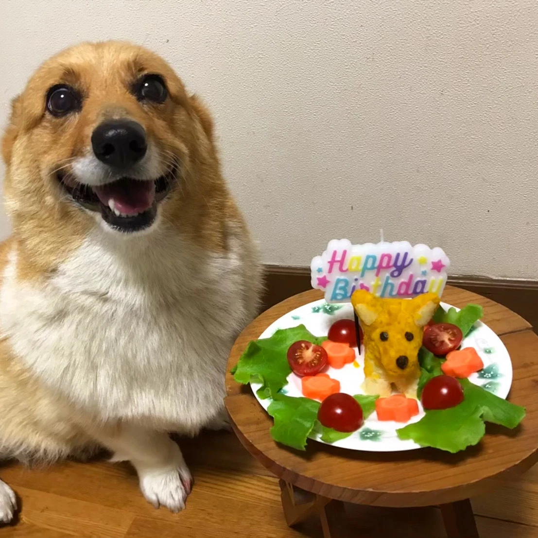 誕生日ケーキと愛犬