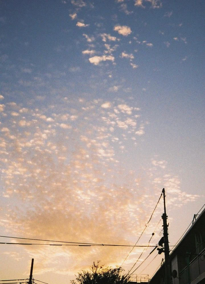 OLYMPUS-PEN EE-3で撮影した夕焼け