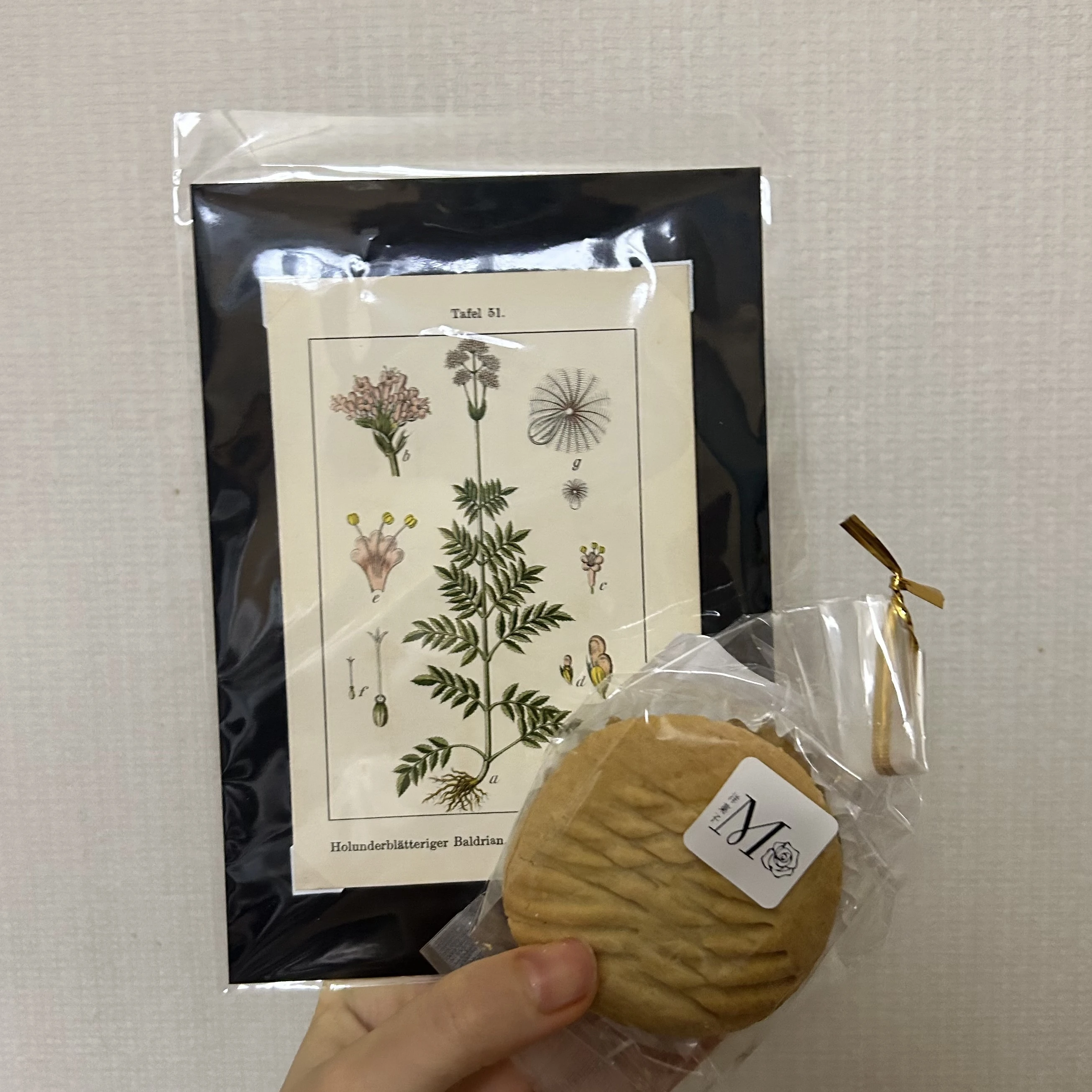 植物図鑑のカードとクッキー