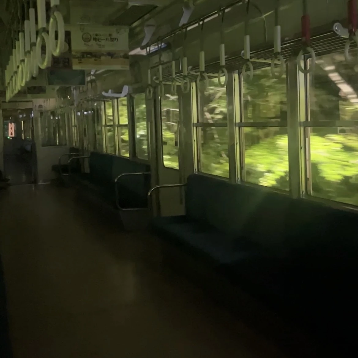 【あと3日！！】京都の叡山電車で行く！青もみじのライトアップ🌳_1_4-2
