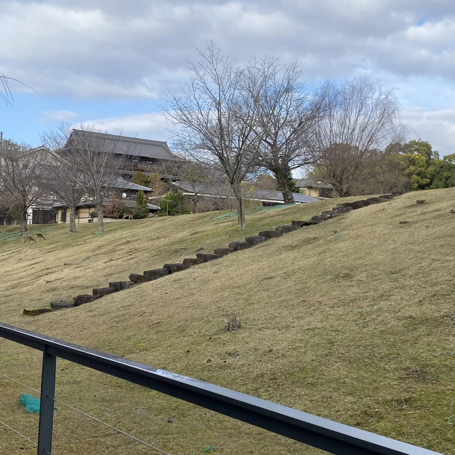 【関西カフェ】ガールズデートで褒められること間違いなし♡関西女子大生激推しのオススメ古都カフェ 5選_1_27-2