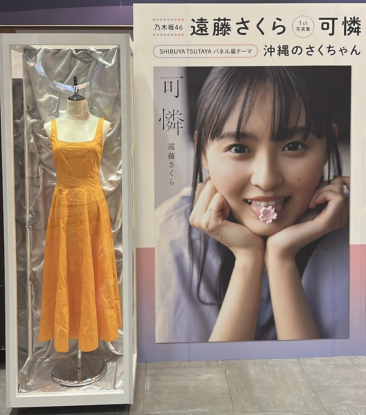 遠藤さくら 1st写真集「可憐」】全11箇所で “パネル展”♡行ってきた