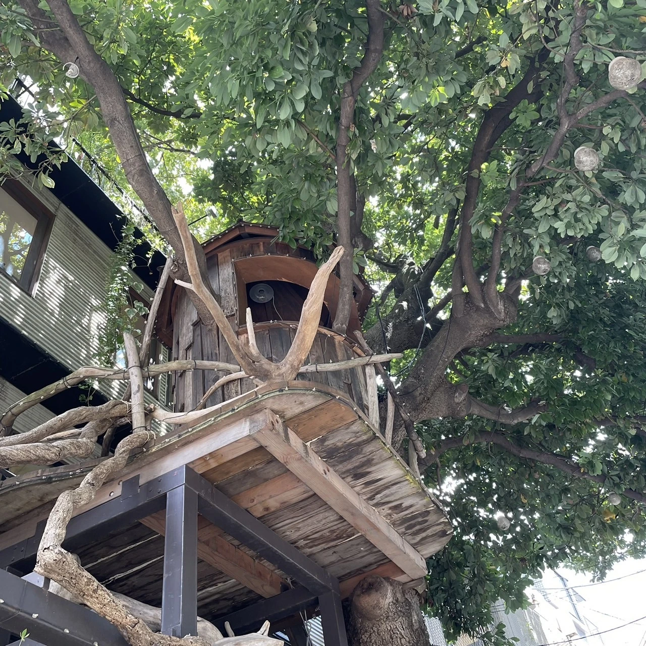 【広尾カフェ】都会のツリーハウスでリラックスカフェ時間🌿『レ・グラン・ザルブル』_1_3