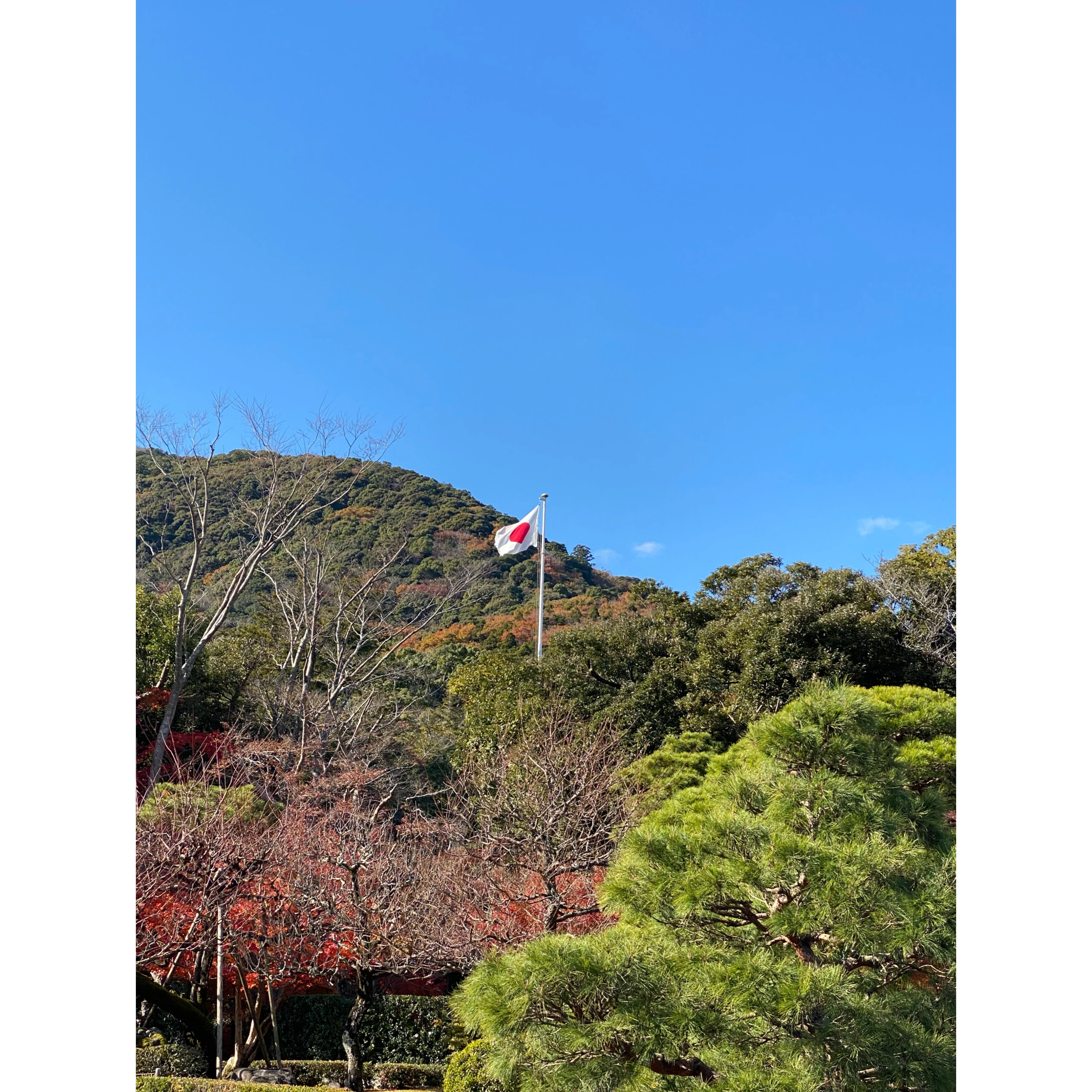 伊勢神宮　日本国旗　写真