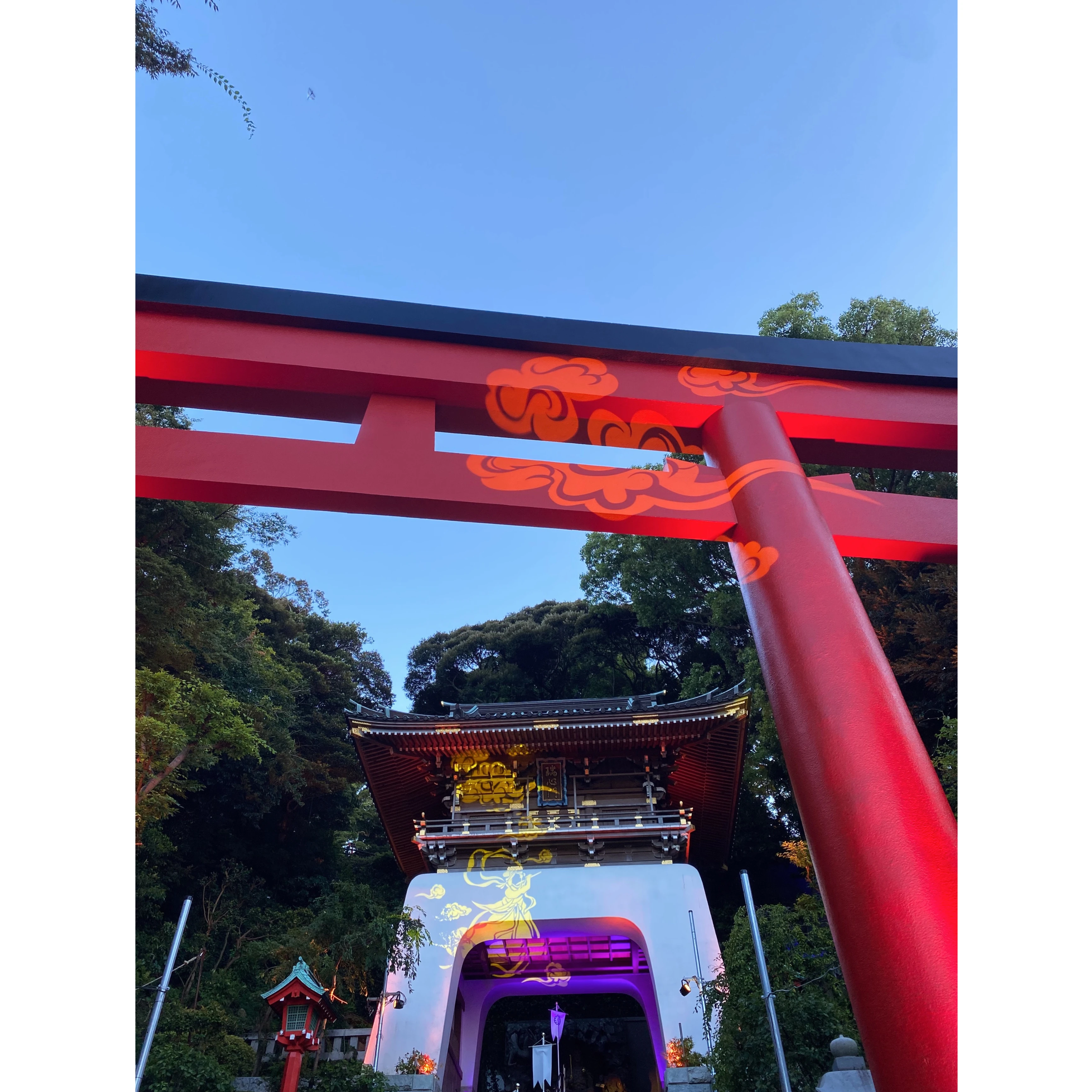 江ノ島　神社　ライトアップ