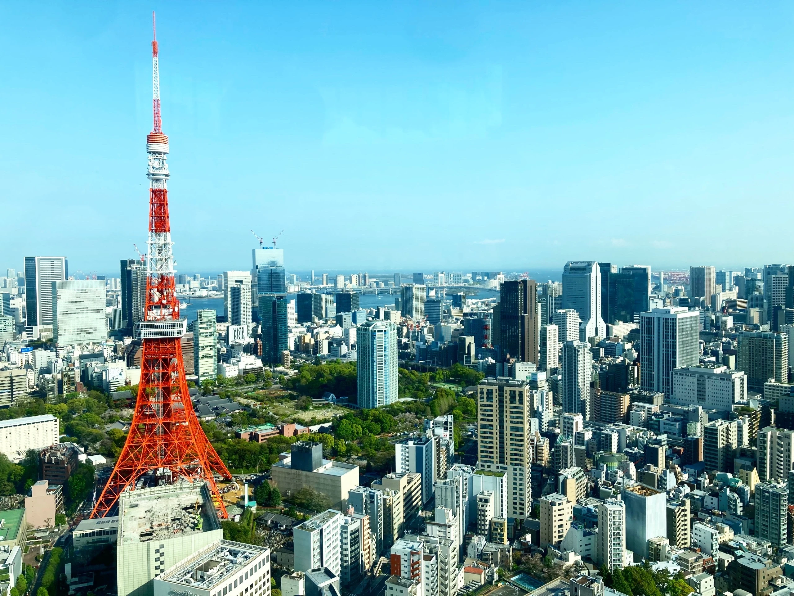 東京タワーと周辺のビル群。