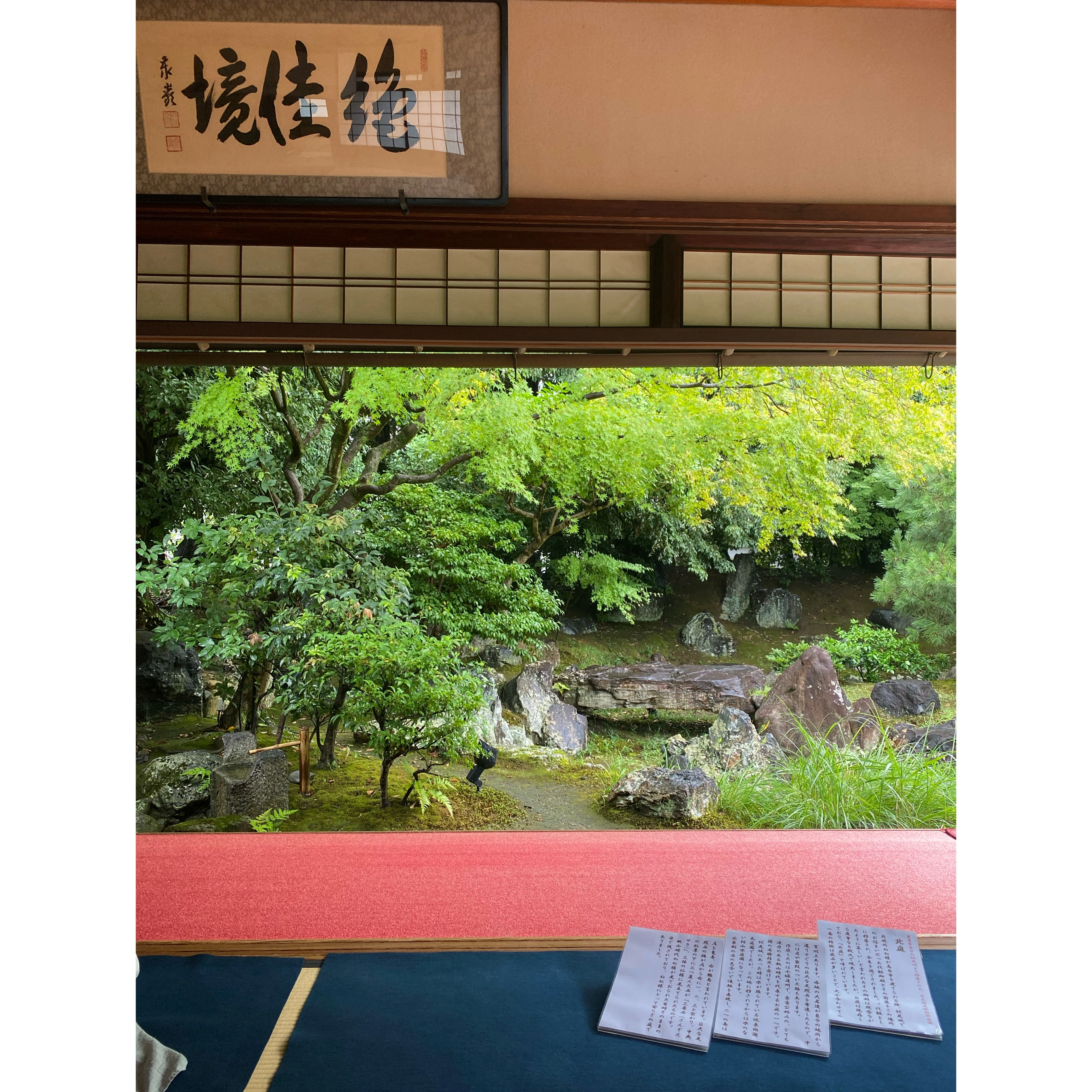 京都　観光　旅行