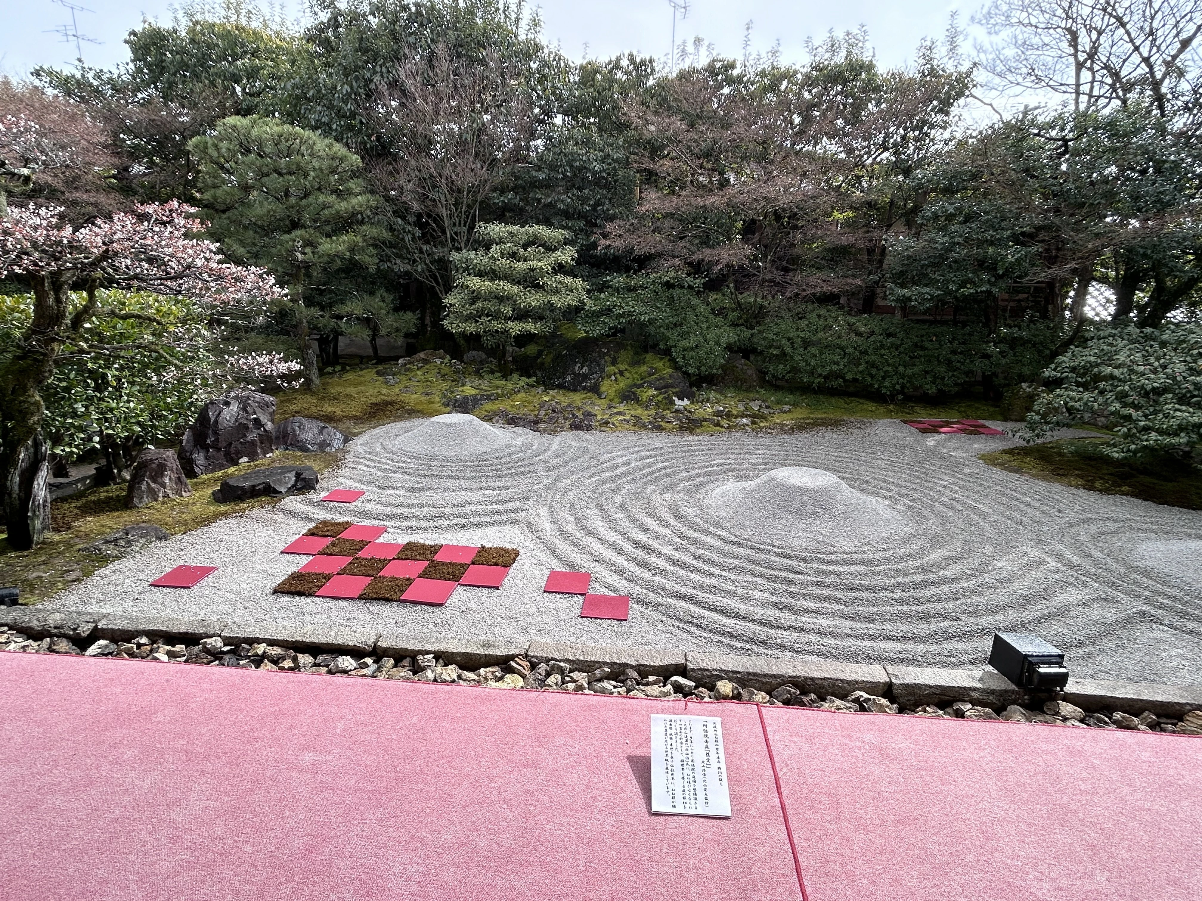 圓徳院、京都観光、枯山水庭園