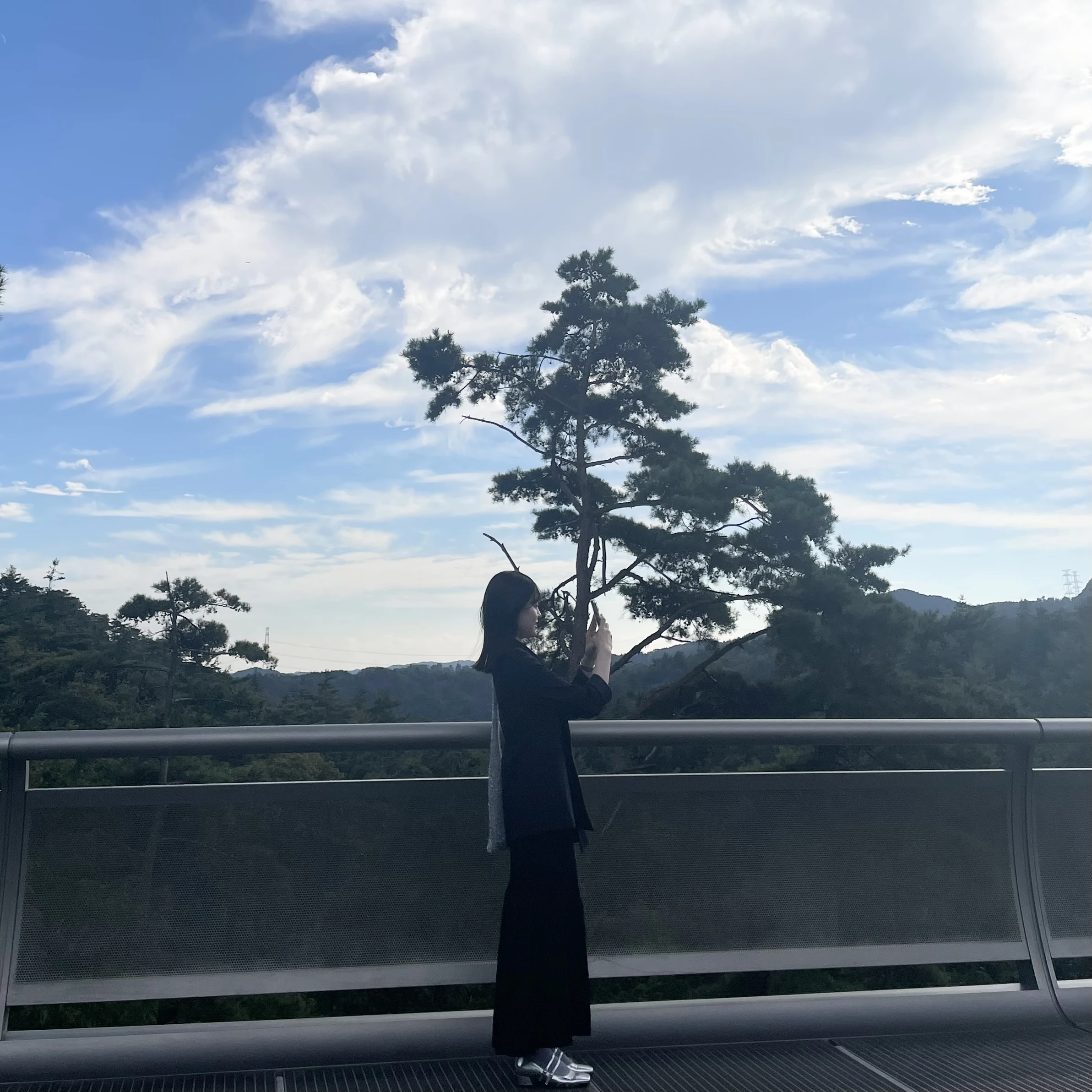 滋賀　ミホミュージアム　吊り橋　写真