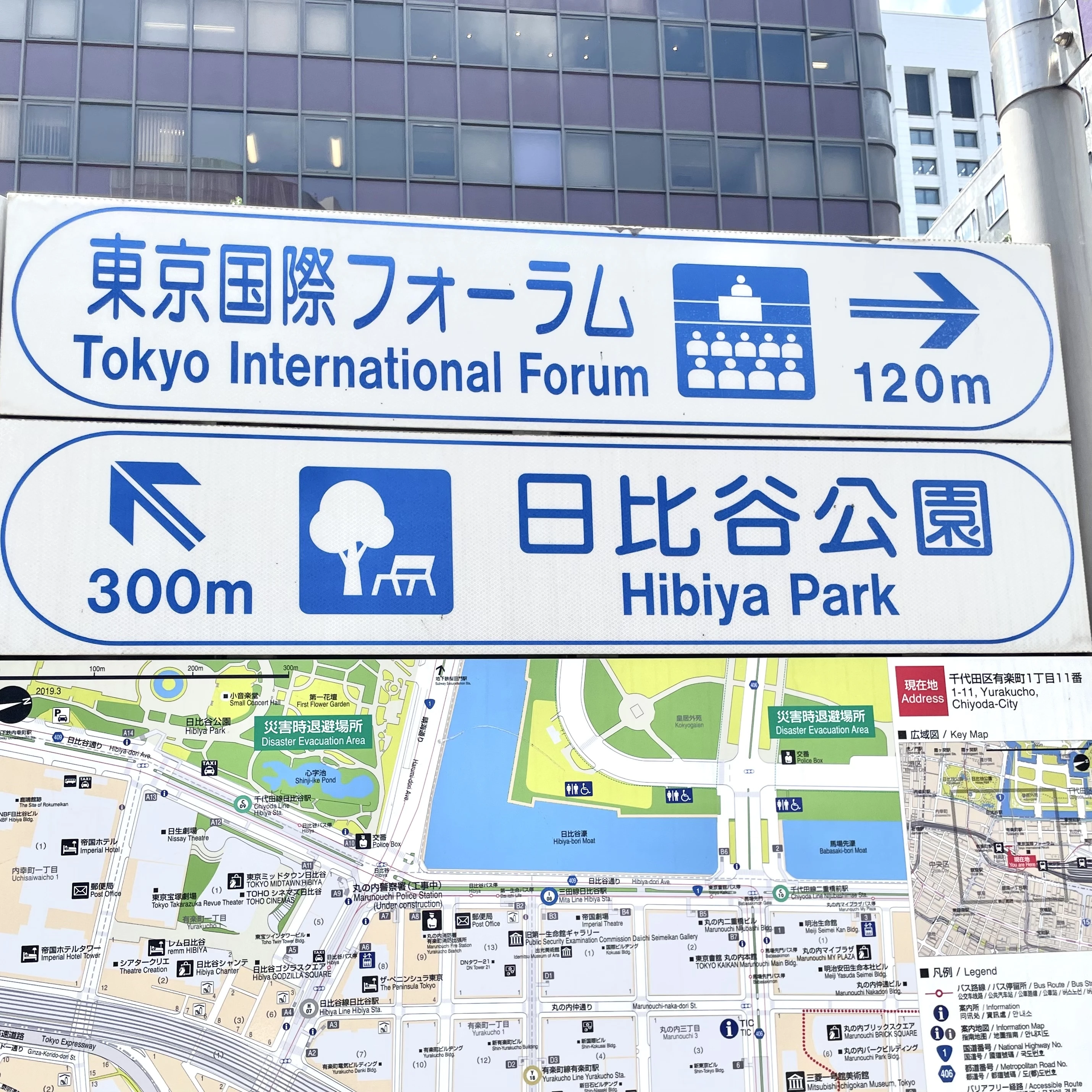 東京国際フォーラム　看板