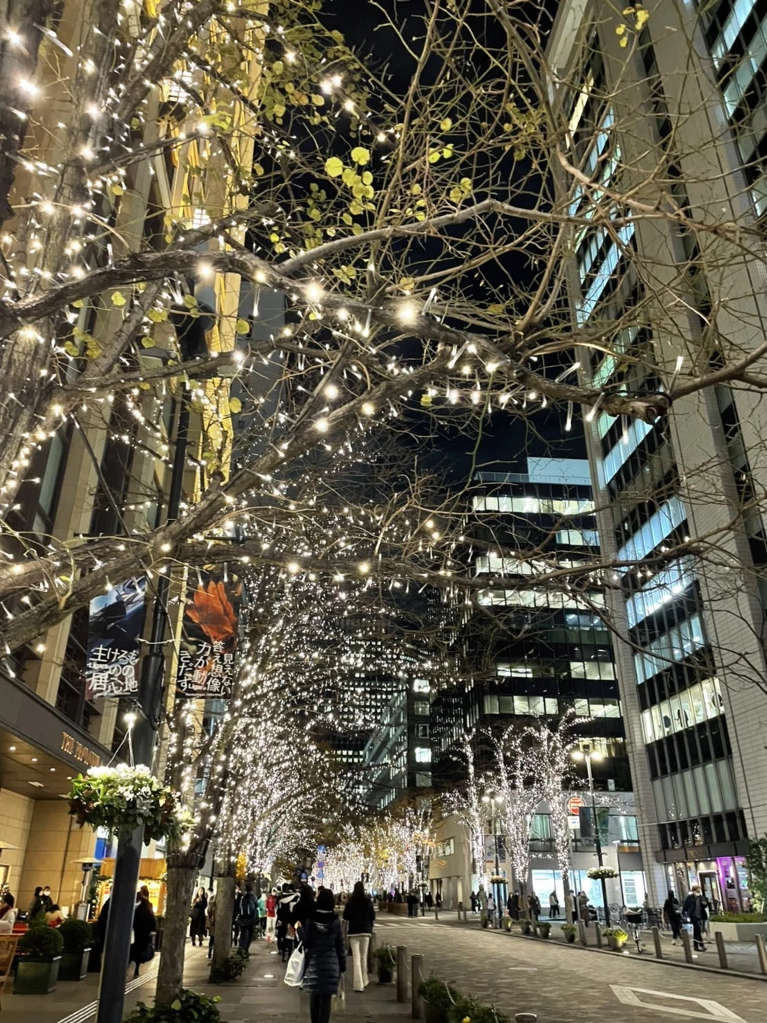 【東京クリスマスマーケット】周辺のイルミネーションもご紹介！_1_4-1