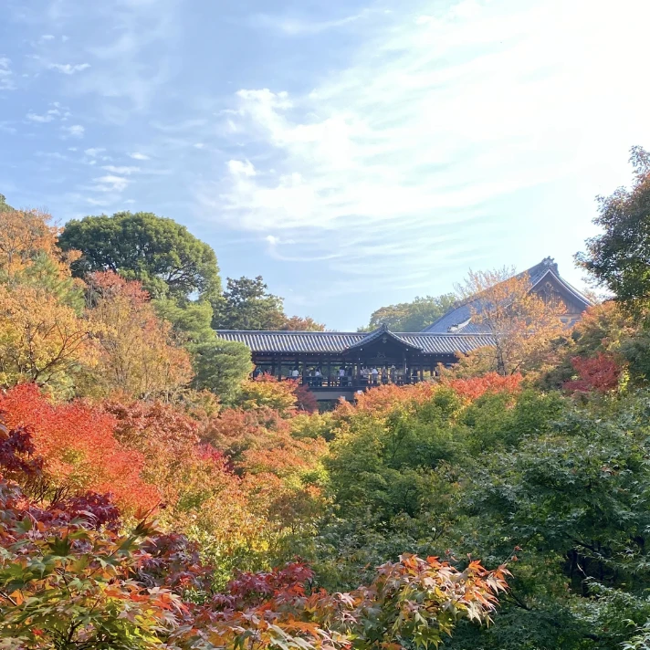 東福寺からみた紅葉の景色1