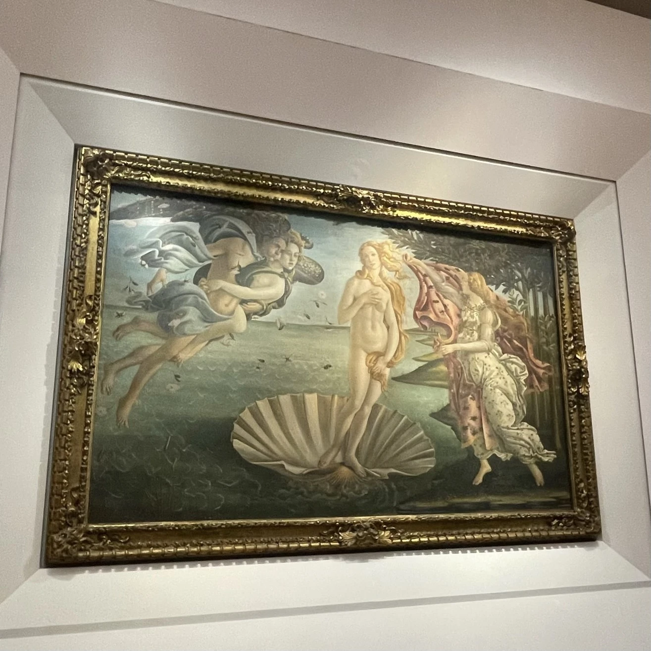 イタリア　フィレンツェ　ウフィッツィ美術館　ヴィーナスの誕生