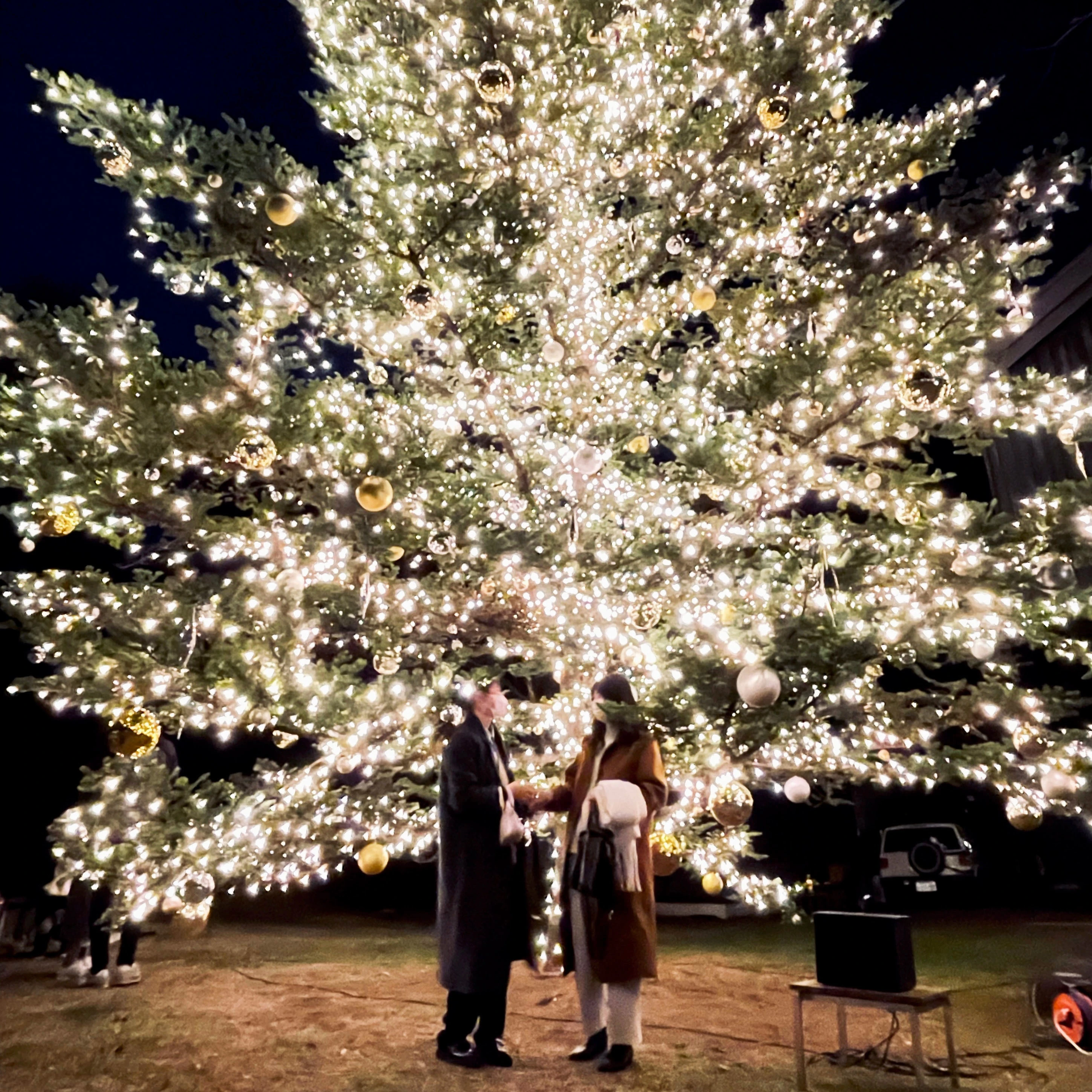 軽井沢星野エリアのクリスマス　もみの木広場のクリスマスツリー