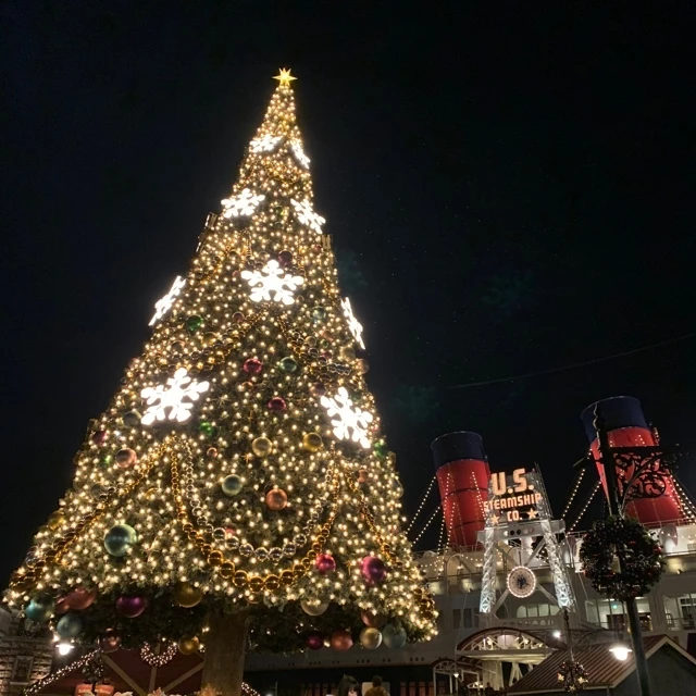 【 TokyoDisneysea 】クリスマスシーズンのディズニー・シーに行ってきました ❤︎_1_8