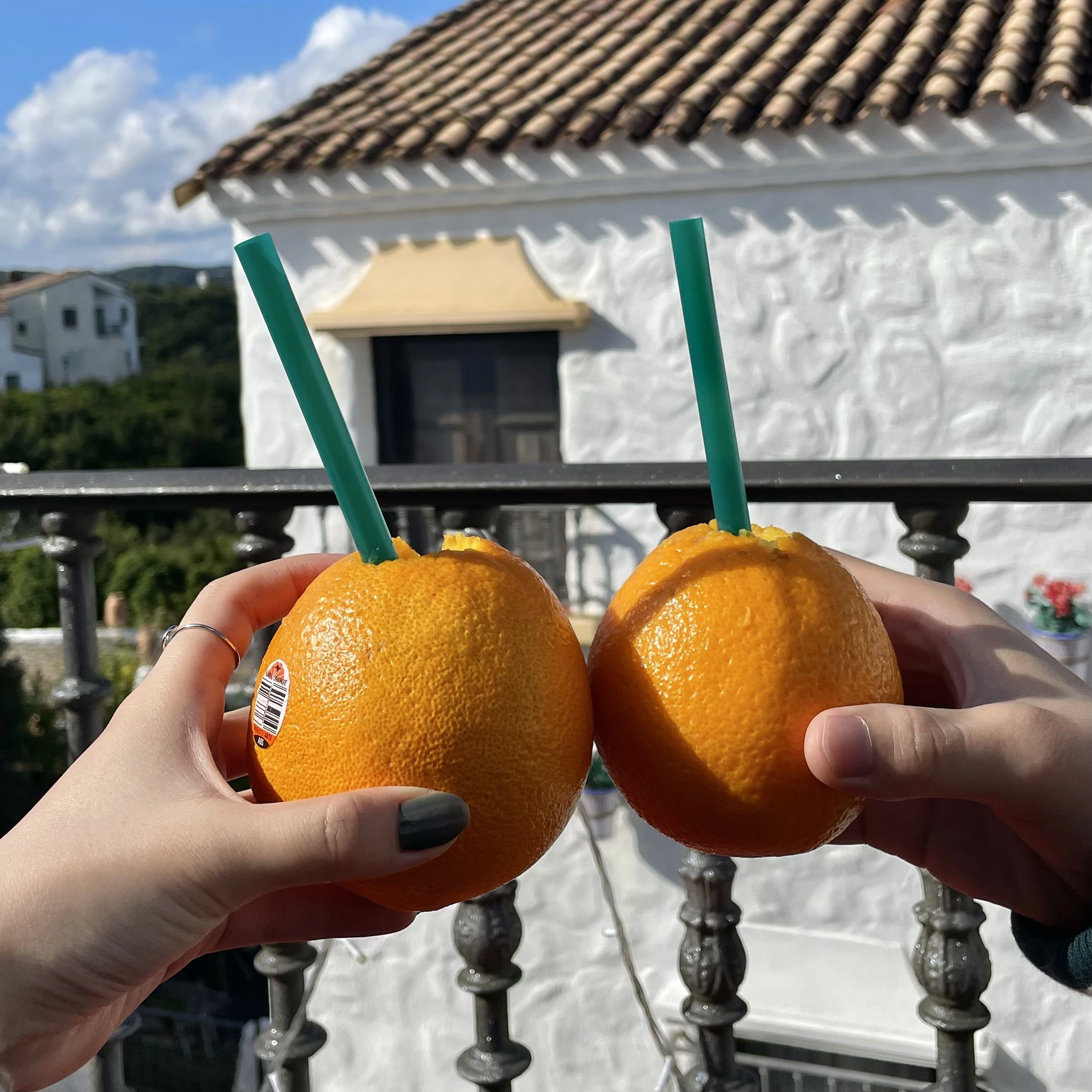 志摩地中海村カフェ　Pescador(ペスカドール)まるごとオレンジ