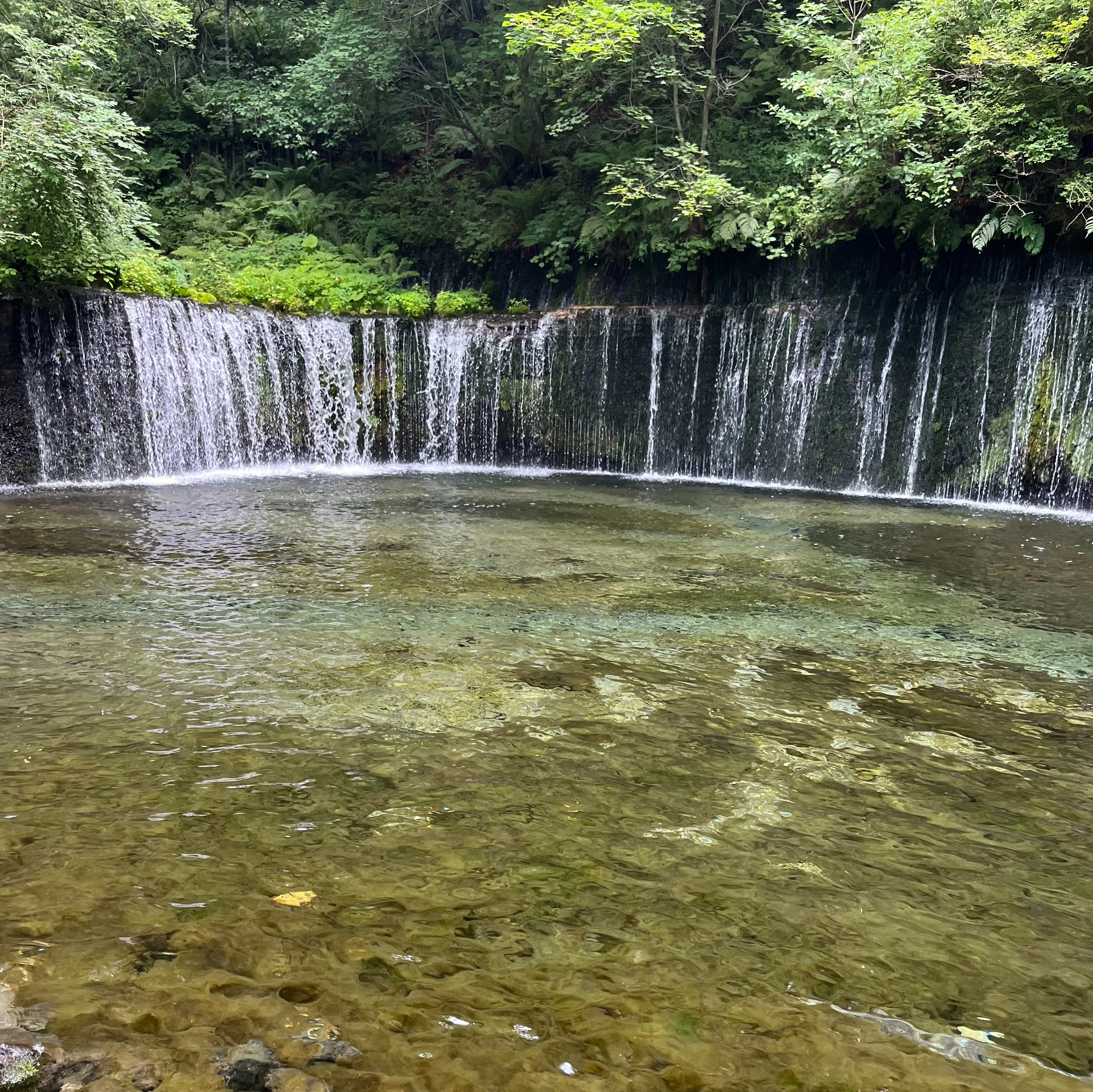 白糸の滝　自然　水