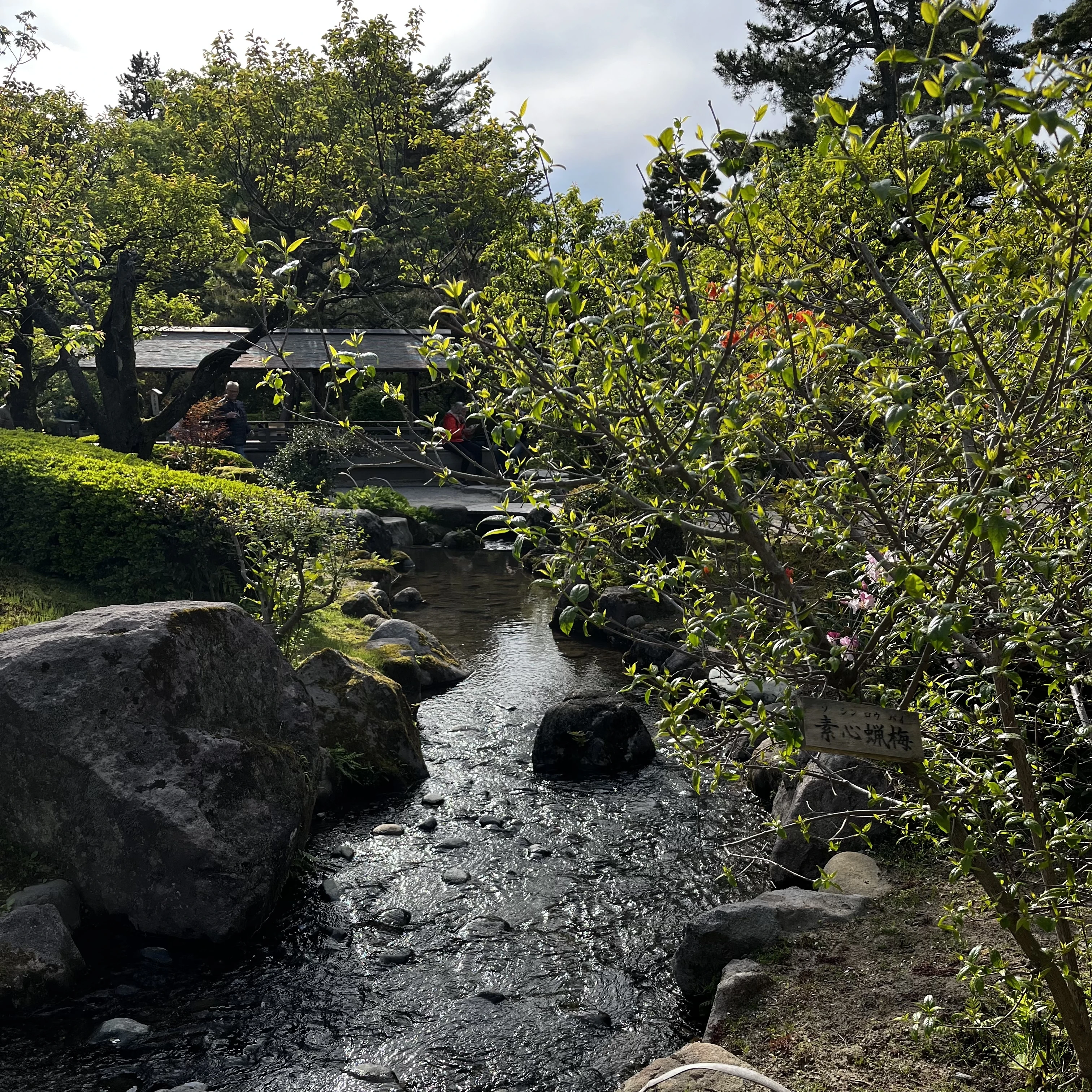 兼六園　自然　日本の風景