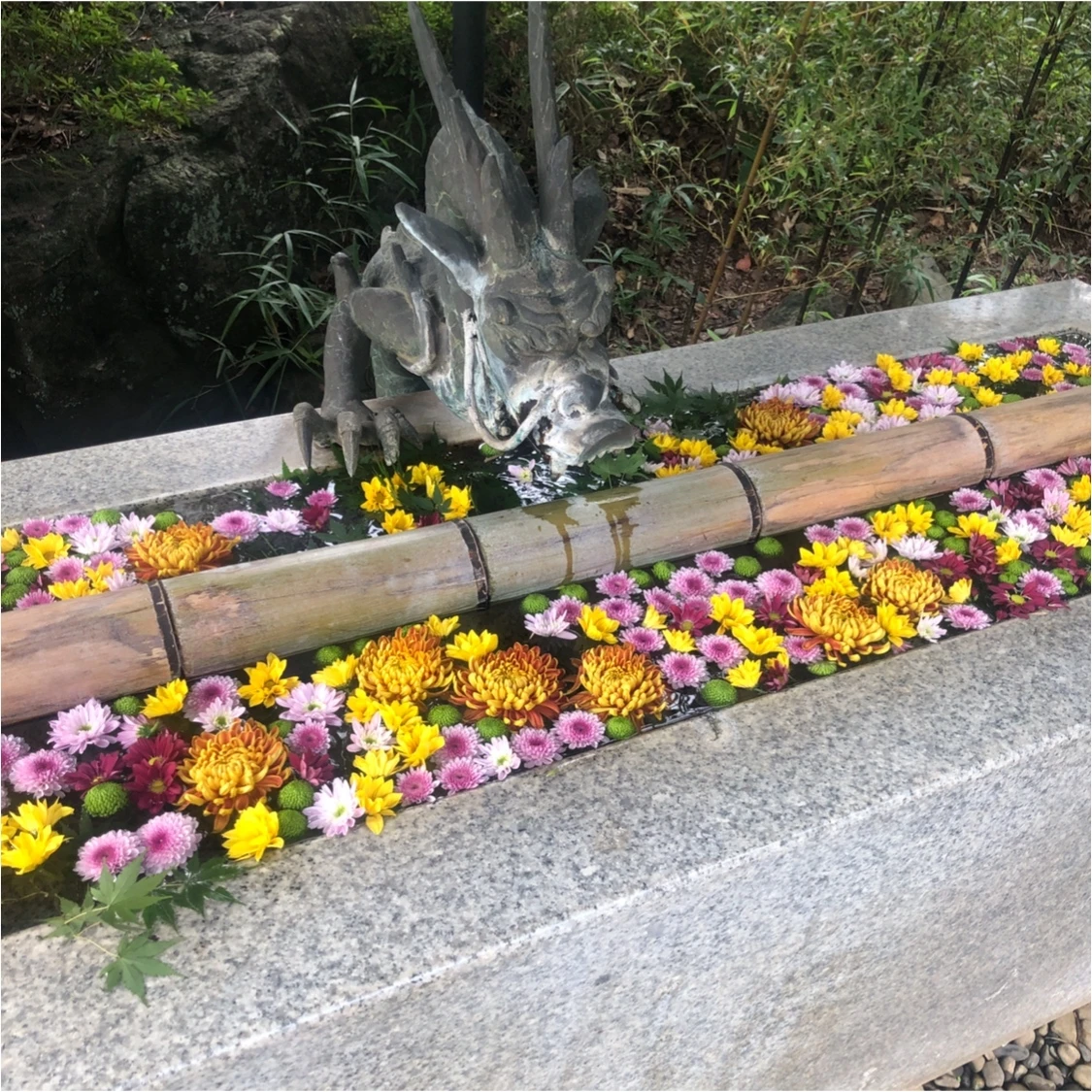 Vol.84♡ 日本一映える植物園?! 新感覚flower park &quot;HANA・BIYORI&quot;_1_2