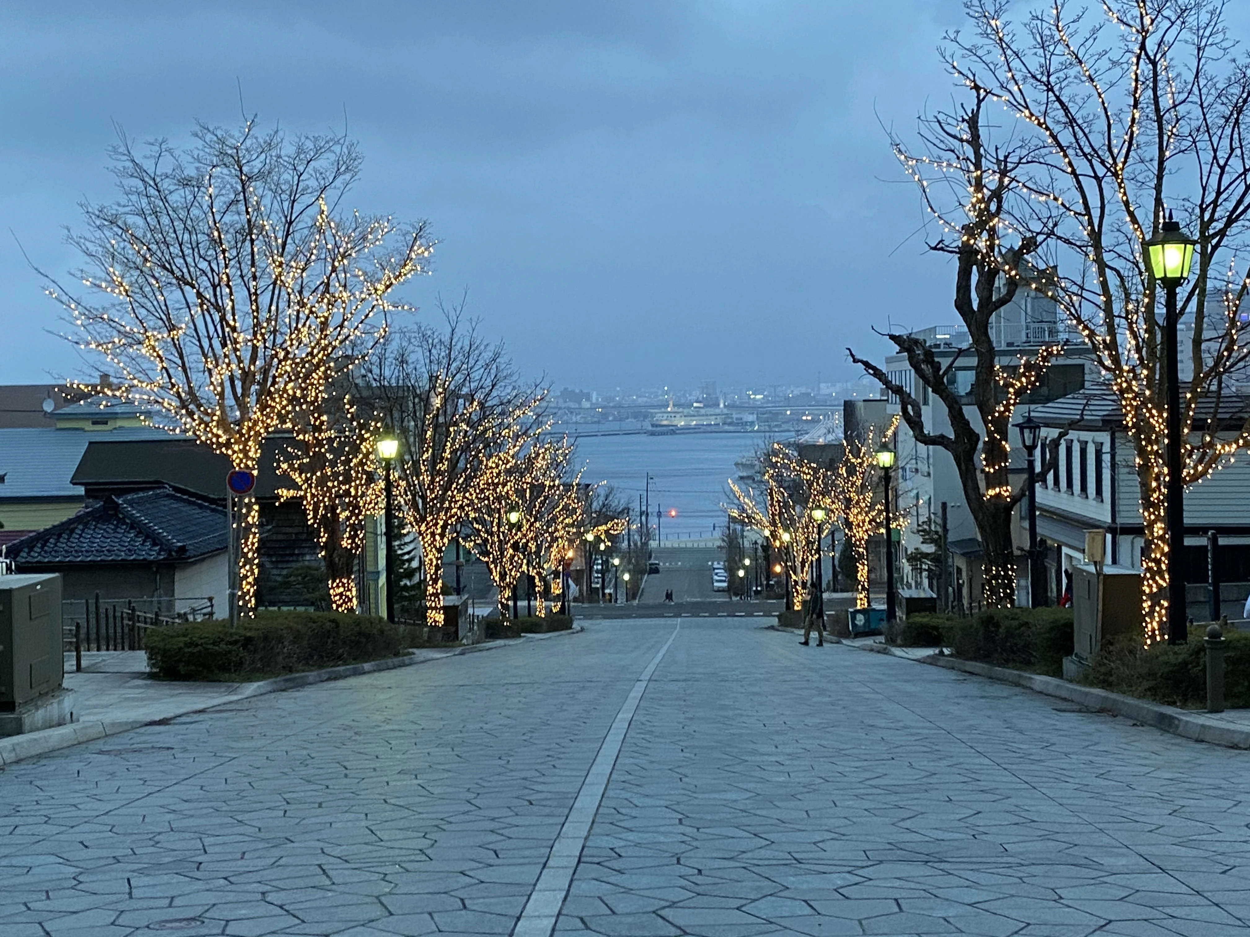 函館八幡坂のライトアップされた写真