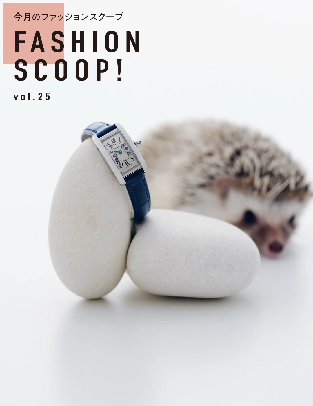 今月のファッションスクープ FASHION SCOOP! vol.25