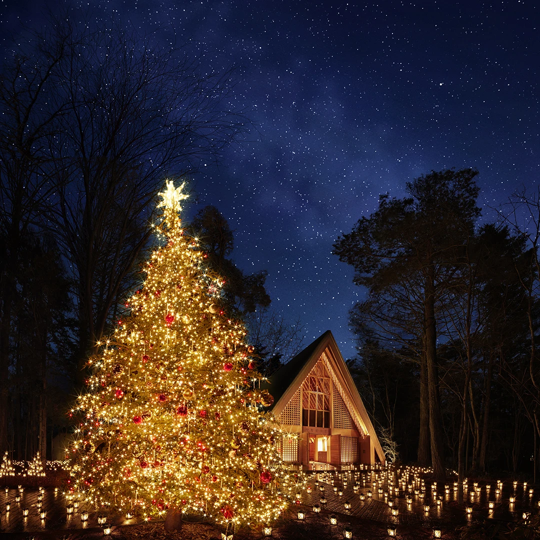【軽井沢高原教会】星降る森のクリスマス