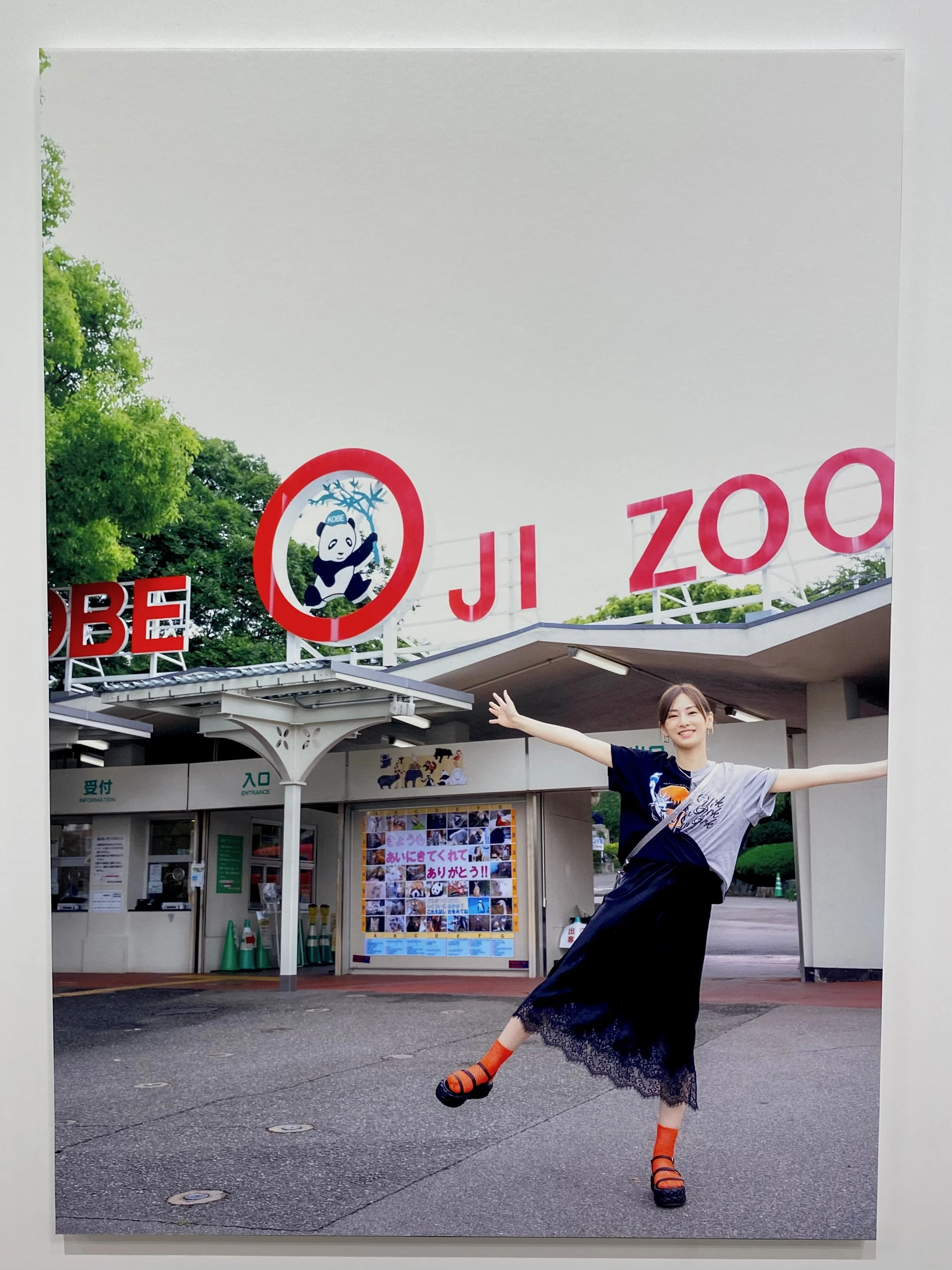 神戸市立王子動物園　北川景子　写真集ロケ地