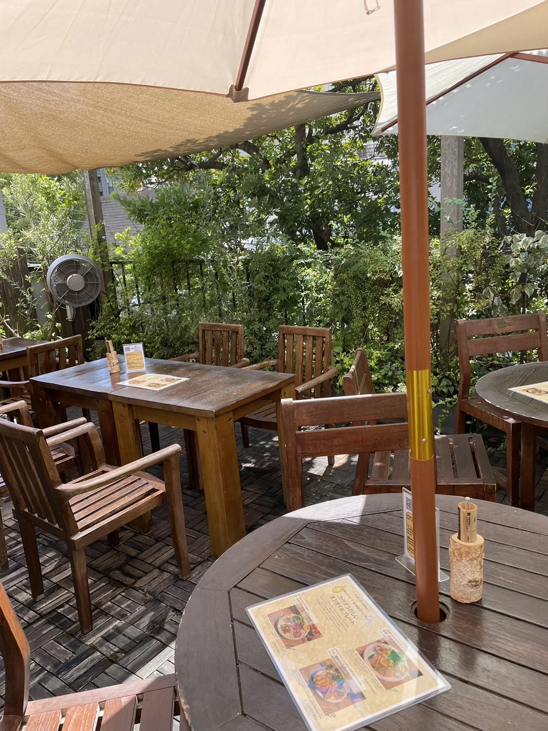 【広尾カフェ】都会のツリーハウスでリラックスカフェ時間🌿『レ・グラン・ザルブル』_1_4