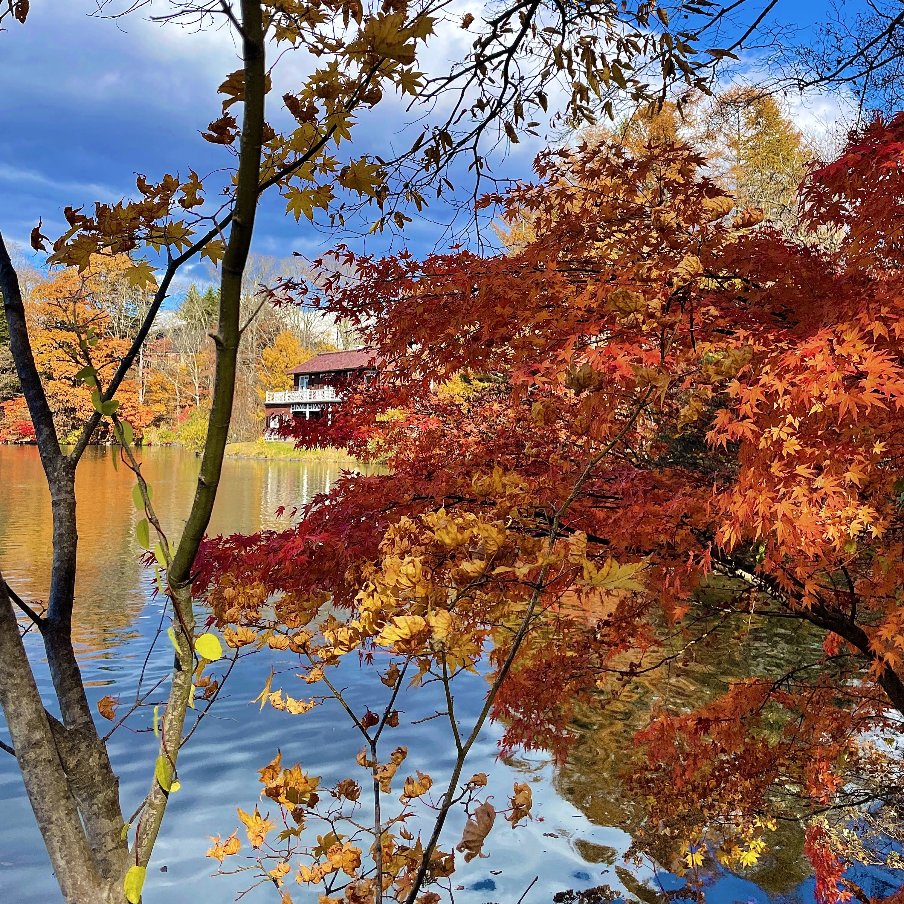 軽井沢タリアセン　秋晴れの空、塩沢湖の青と紅葉した樹々の赤のコントラストが美しい。