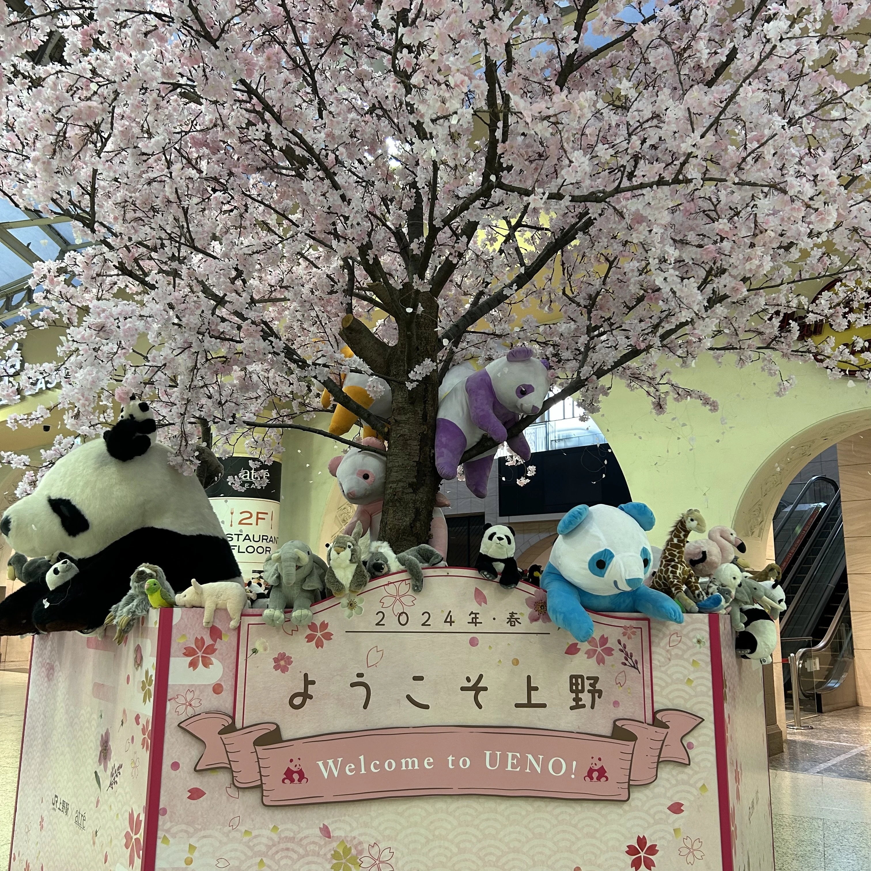 上野、桜、パンダ