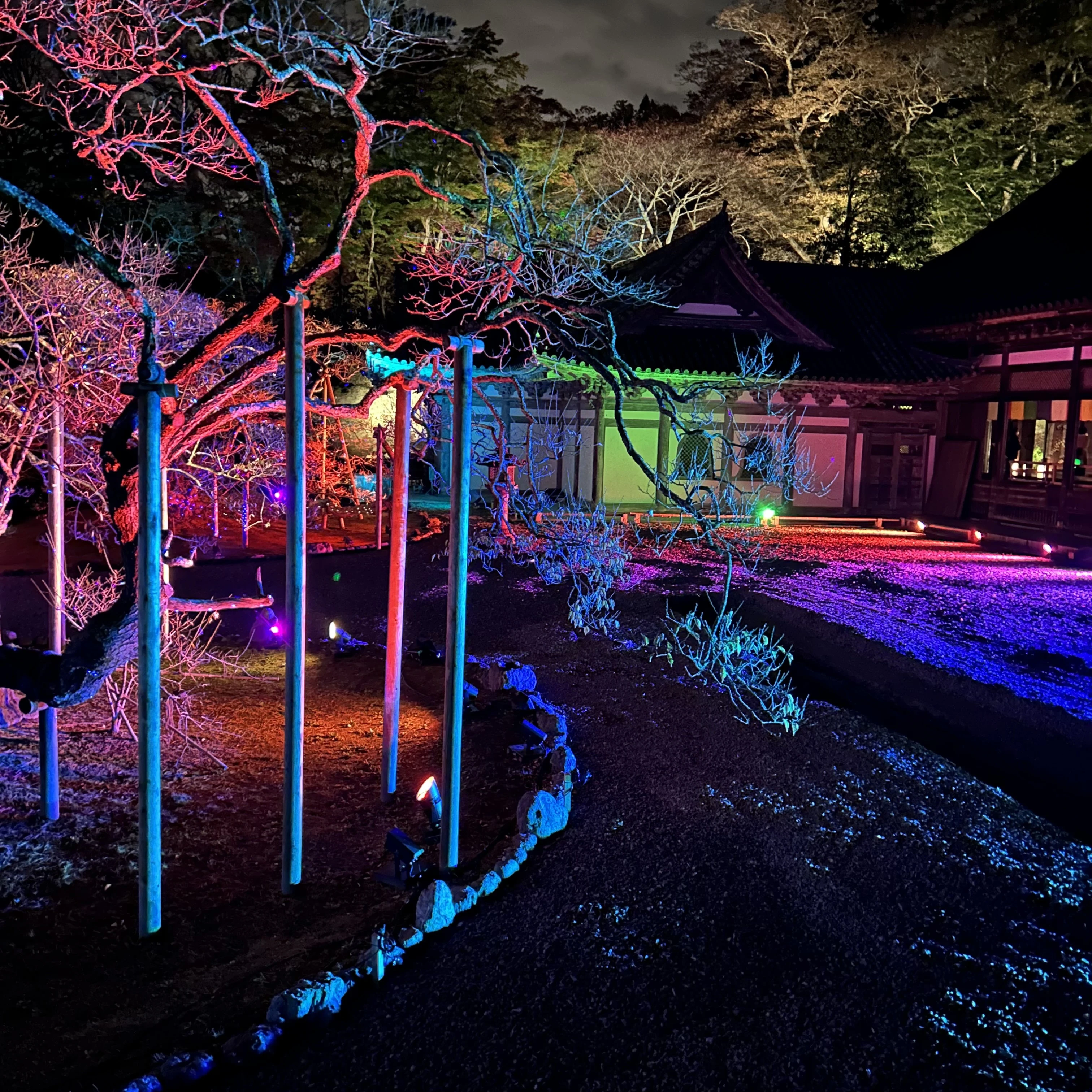 松島観光、瑞巌寺、紅葉ライトアップ
