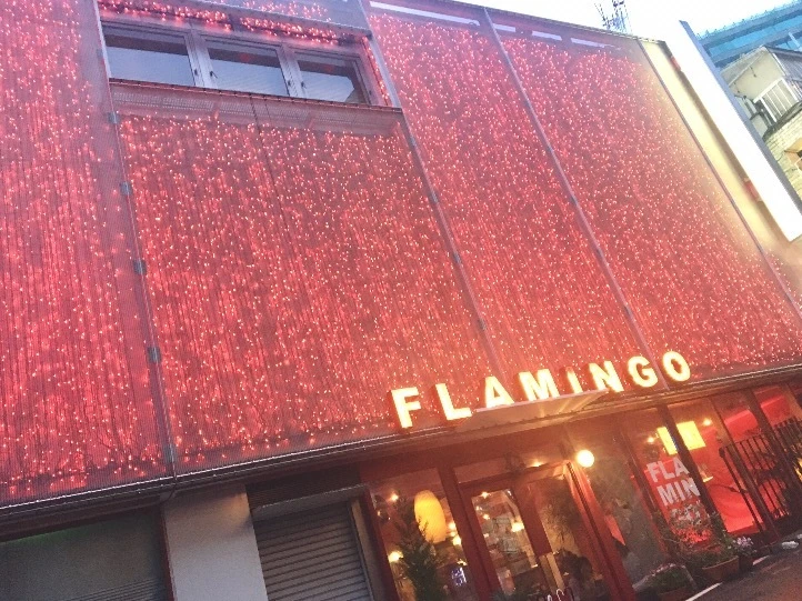 あのアイドルの ジャケット写真 や MV でも使われた cafe flamingo ˚✧₊⁎_1_1