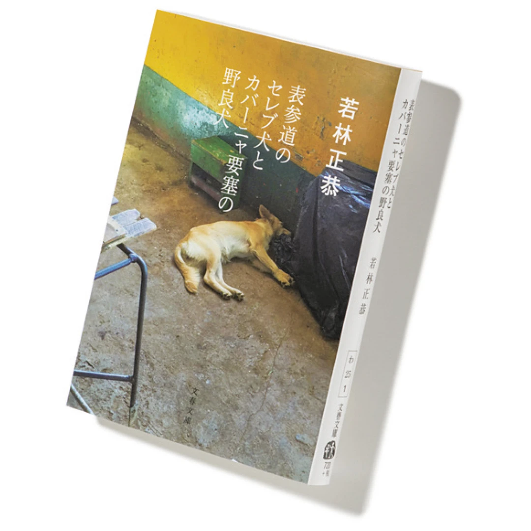 Photo Gallery｜花田菜々子が20歳女子におすすめする本をもっと見る_1_9