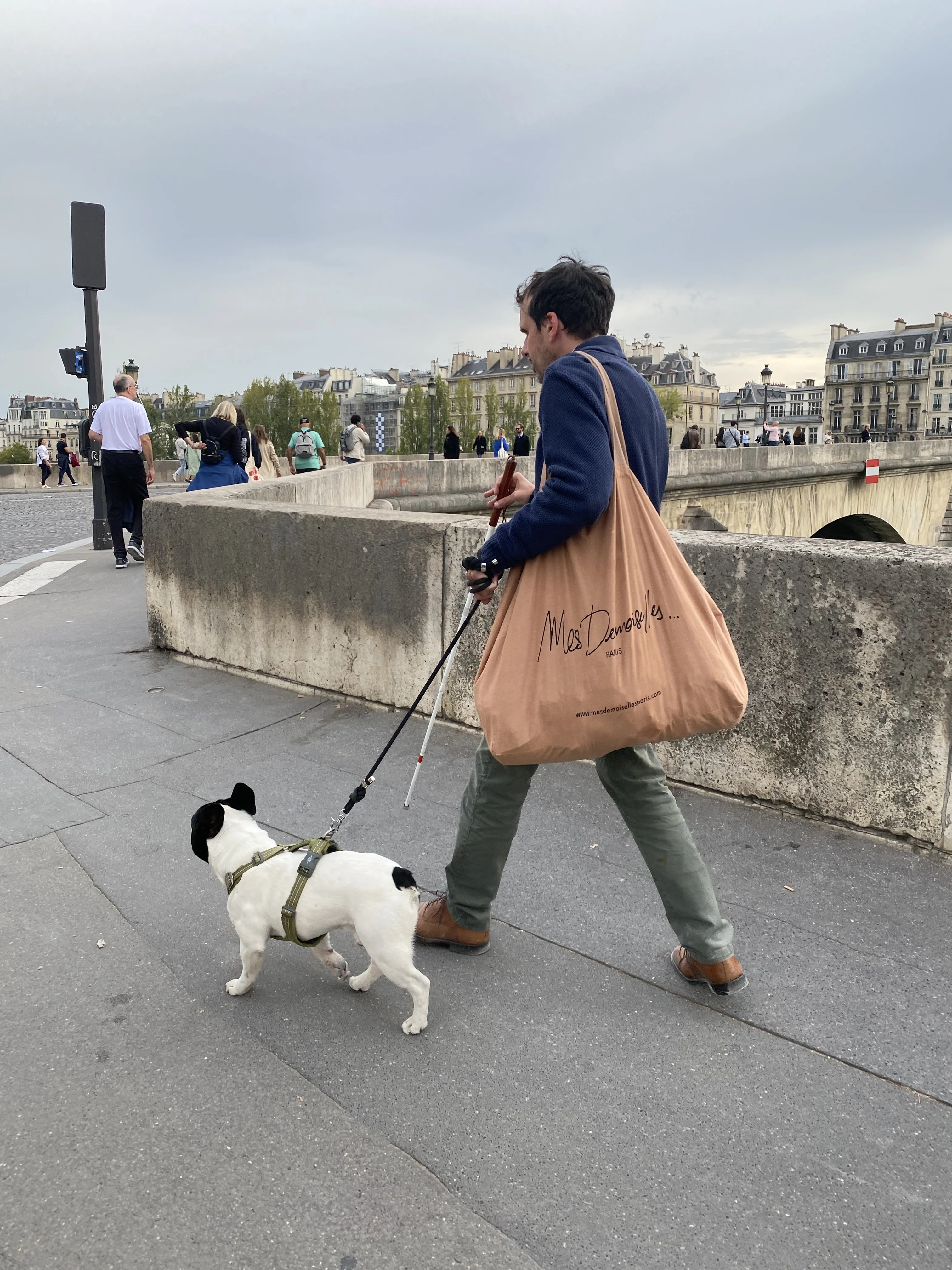 【パリの犬たち】おしゃれな犬をパパラッチ！_1_1
