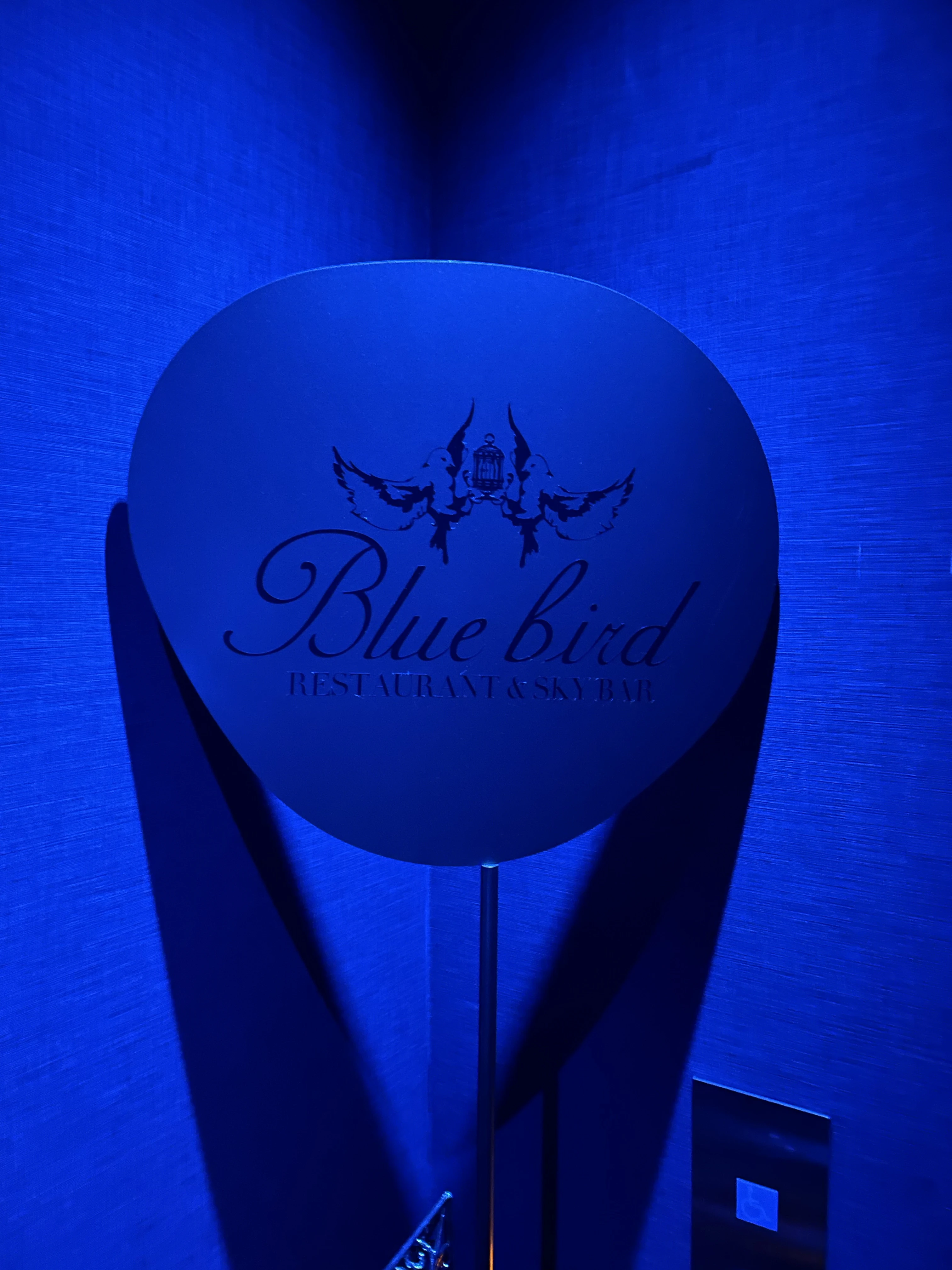 【渋谷】Blue Birdで¥5,000の夜景クリスマスディナー！_1_7-2