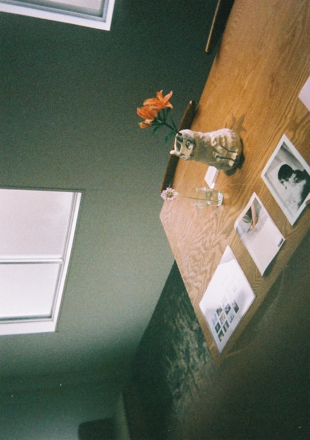 フィルムカメラで撮った写真展。オレンジ色の花が花瓶に生けられています。