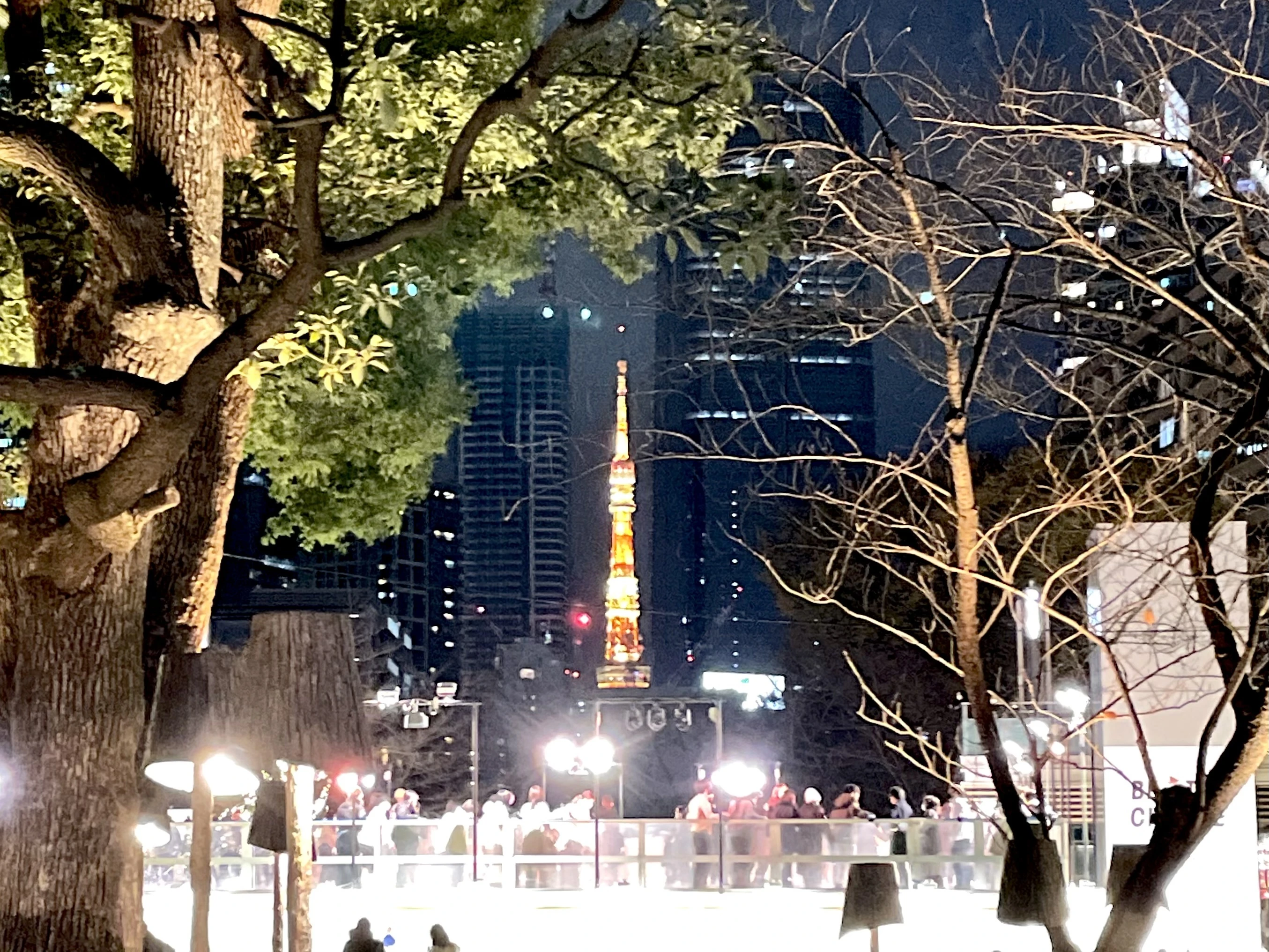 東京タワー　六本木　イルミネーション　光の散歩道　アイススケート
