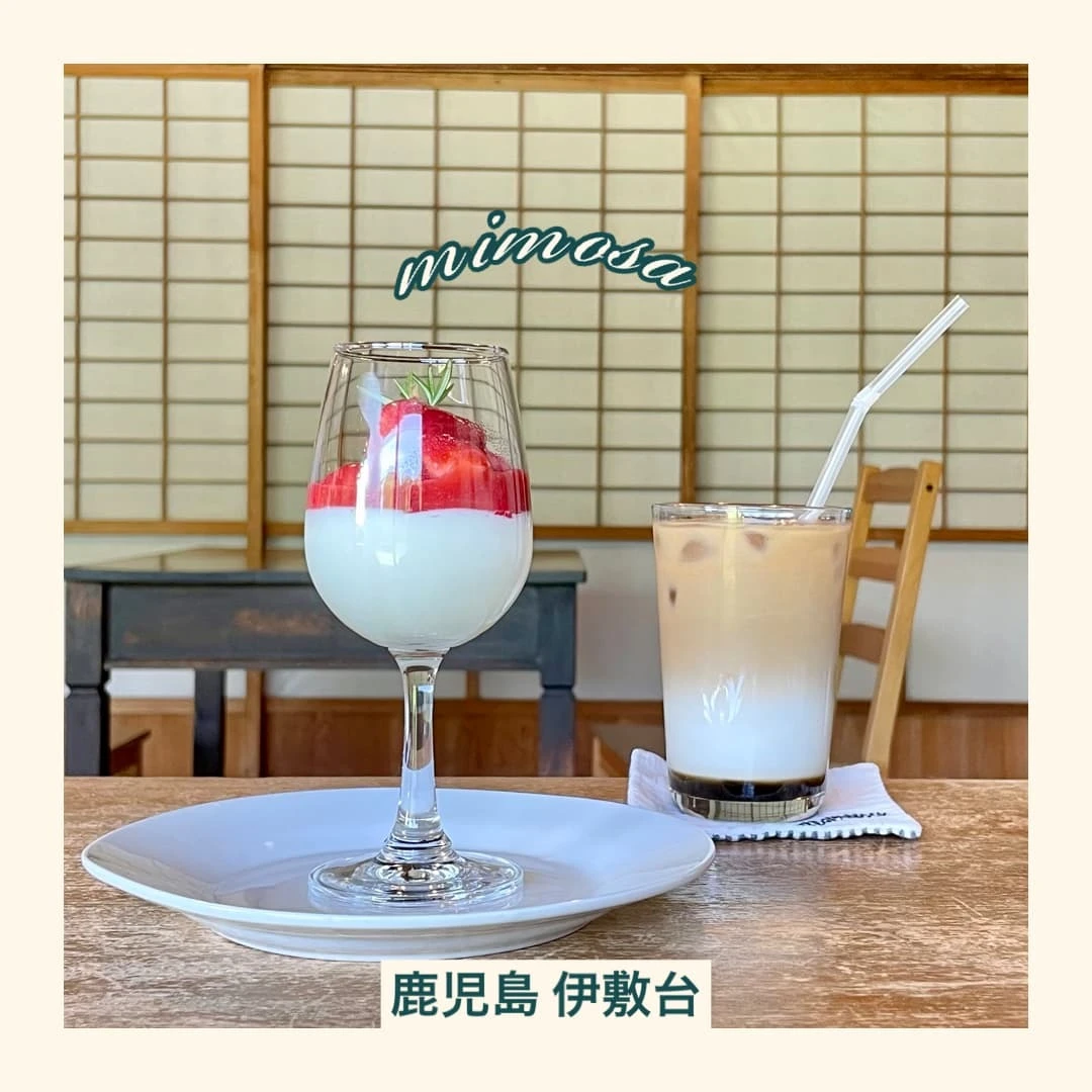 mimosa　鹿児島　アイキャッチ画像