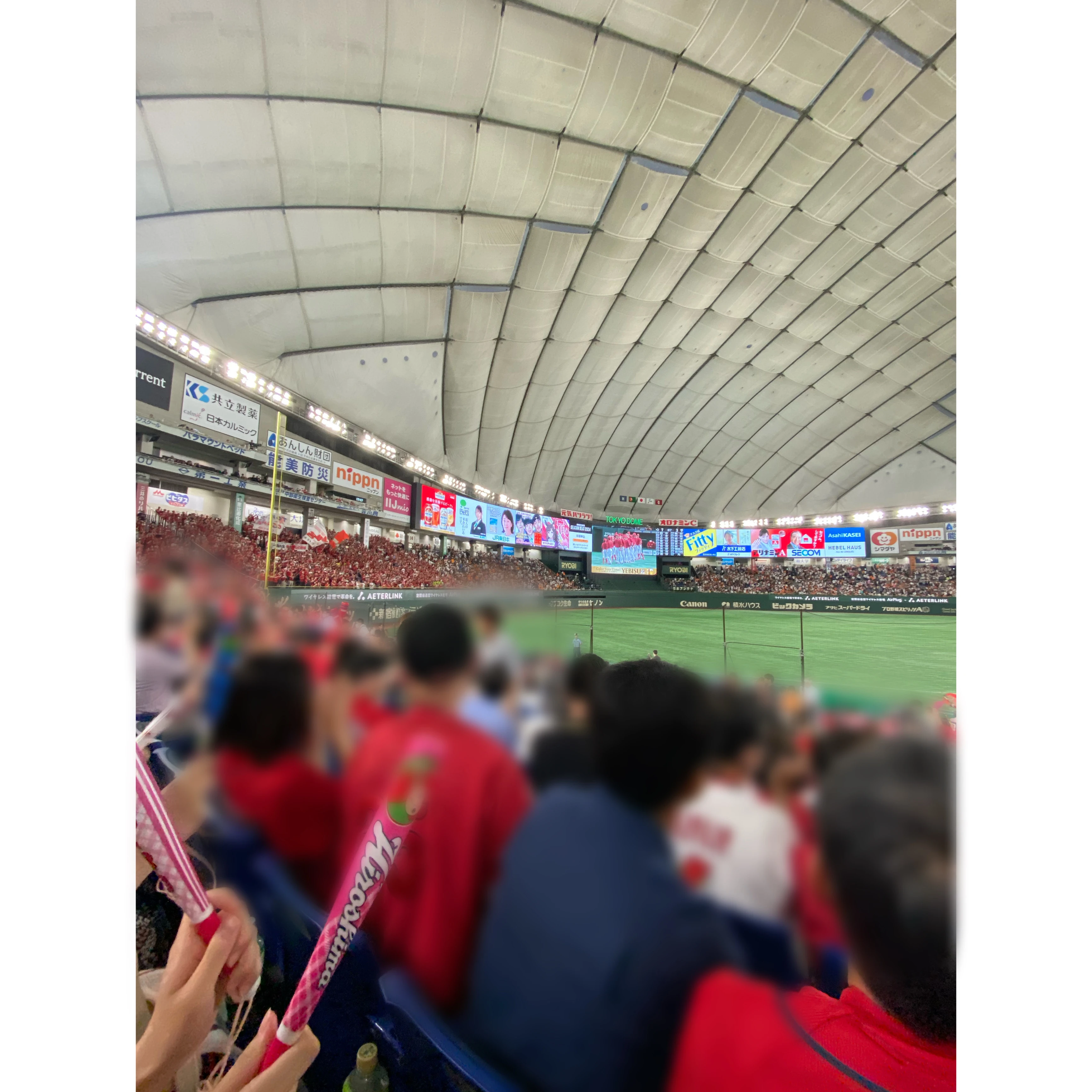 広島カープ　野球　東京ドーム