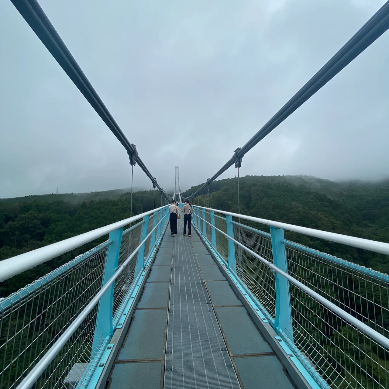 三島スカイウォーク、景色、吊橋
