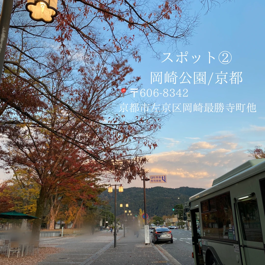 【関西】関西在住の女子大生が教える11月～12月中に行きたい！関西お出かけスポット紹介！ 4選_1_8