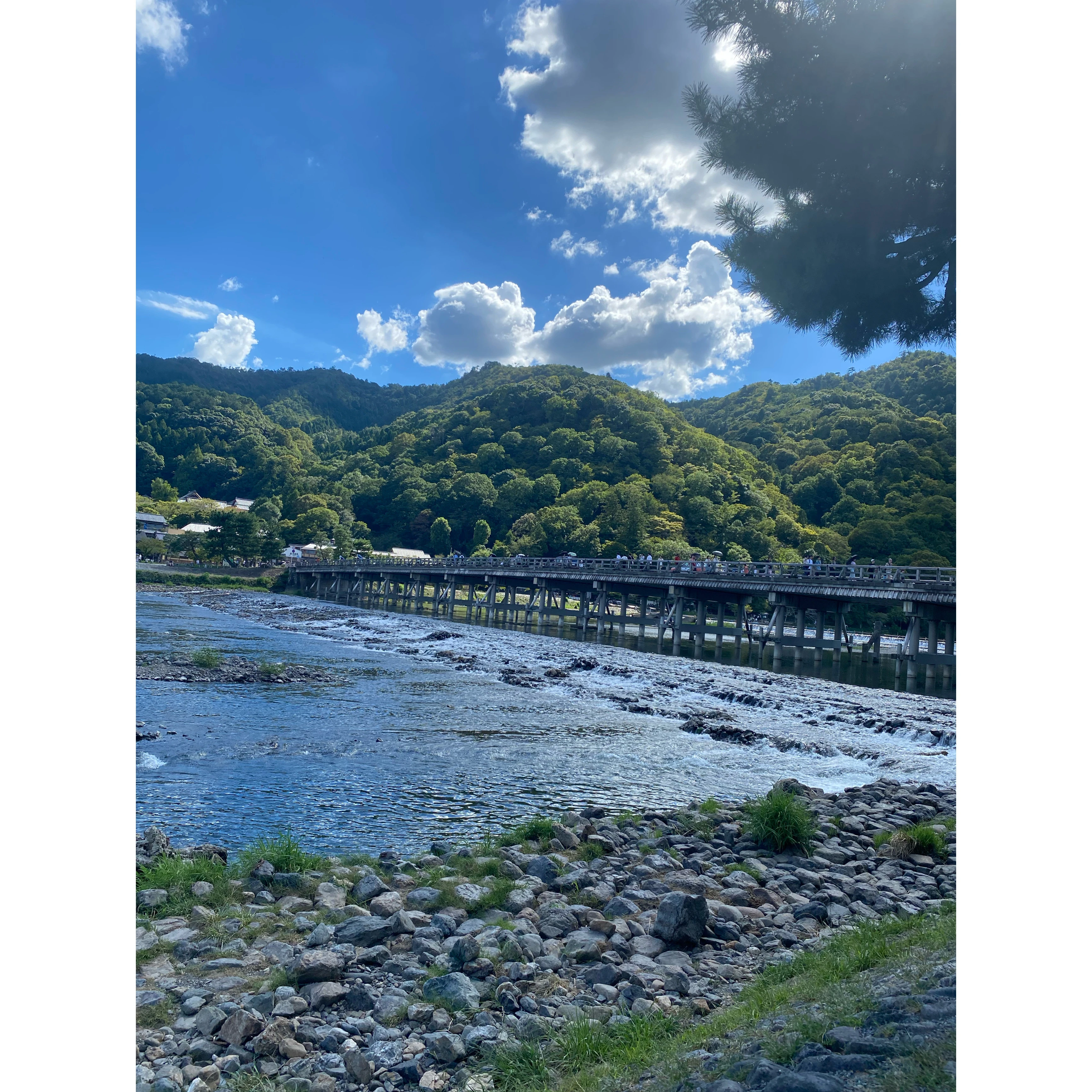 京都　嵐山　観光