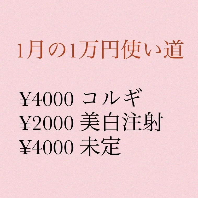 【2020年】今年の目標　〜美容編〜_1_4