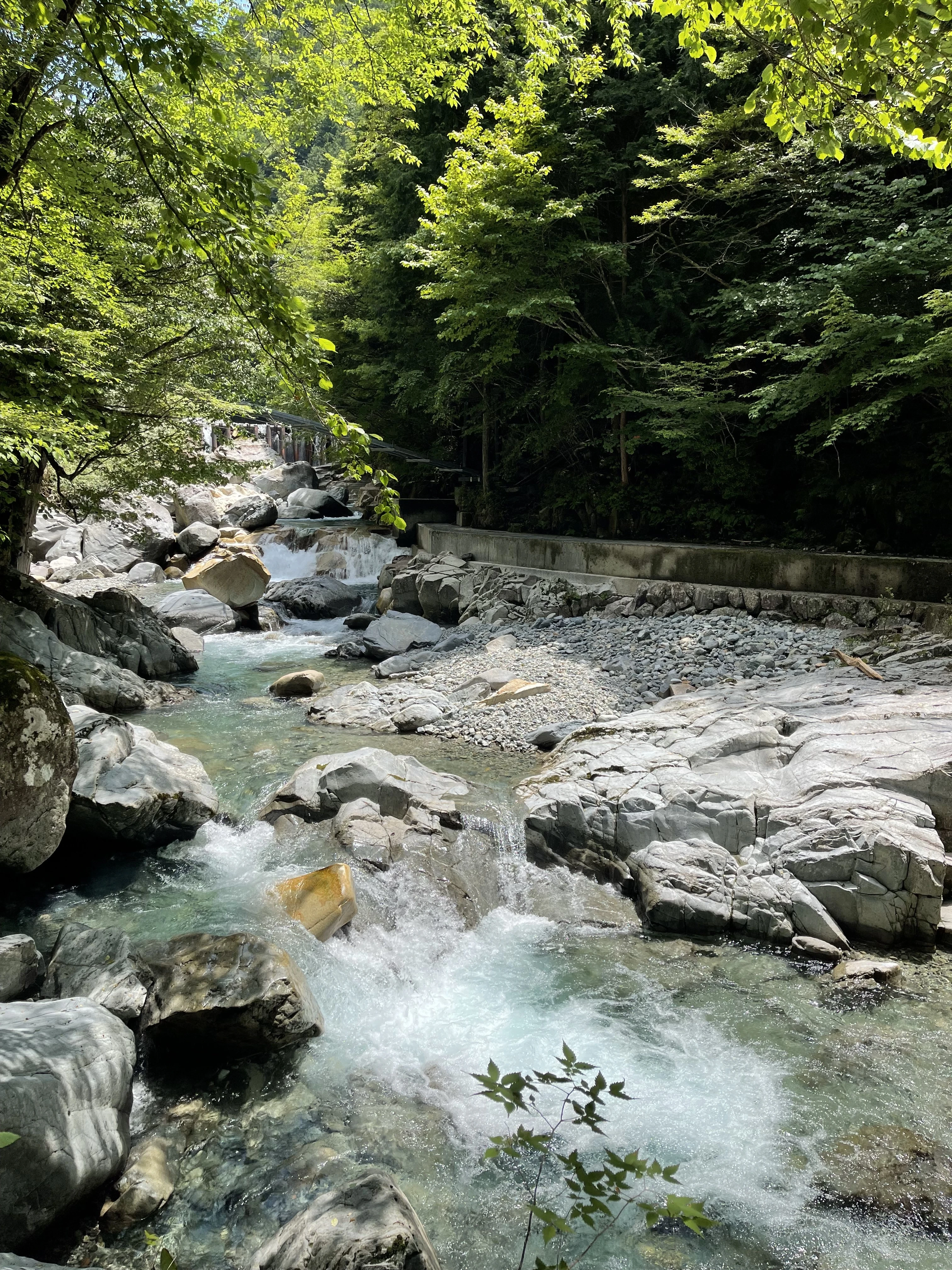 仙樽の滝の上流