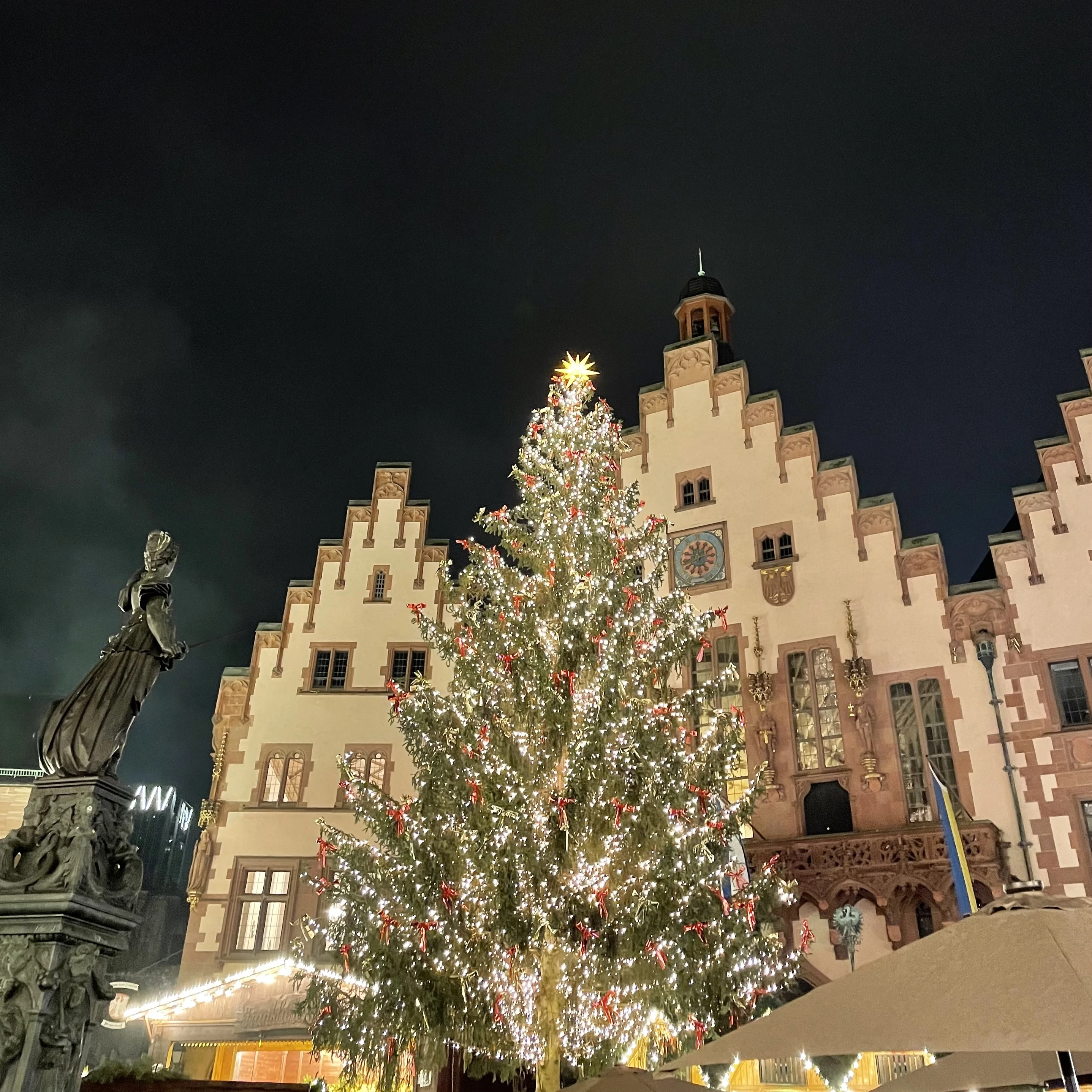 ドイツ　フランクフルト　クリスマスマーケット　クリスマスツリー