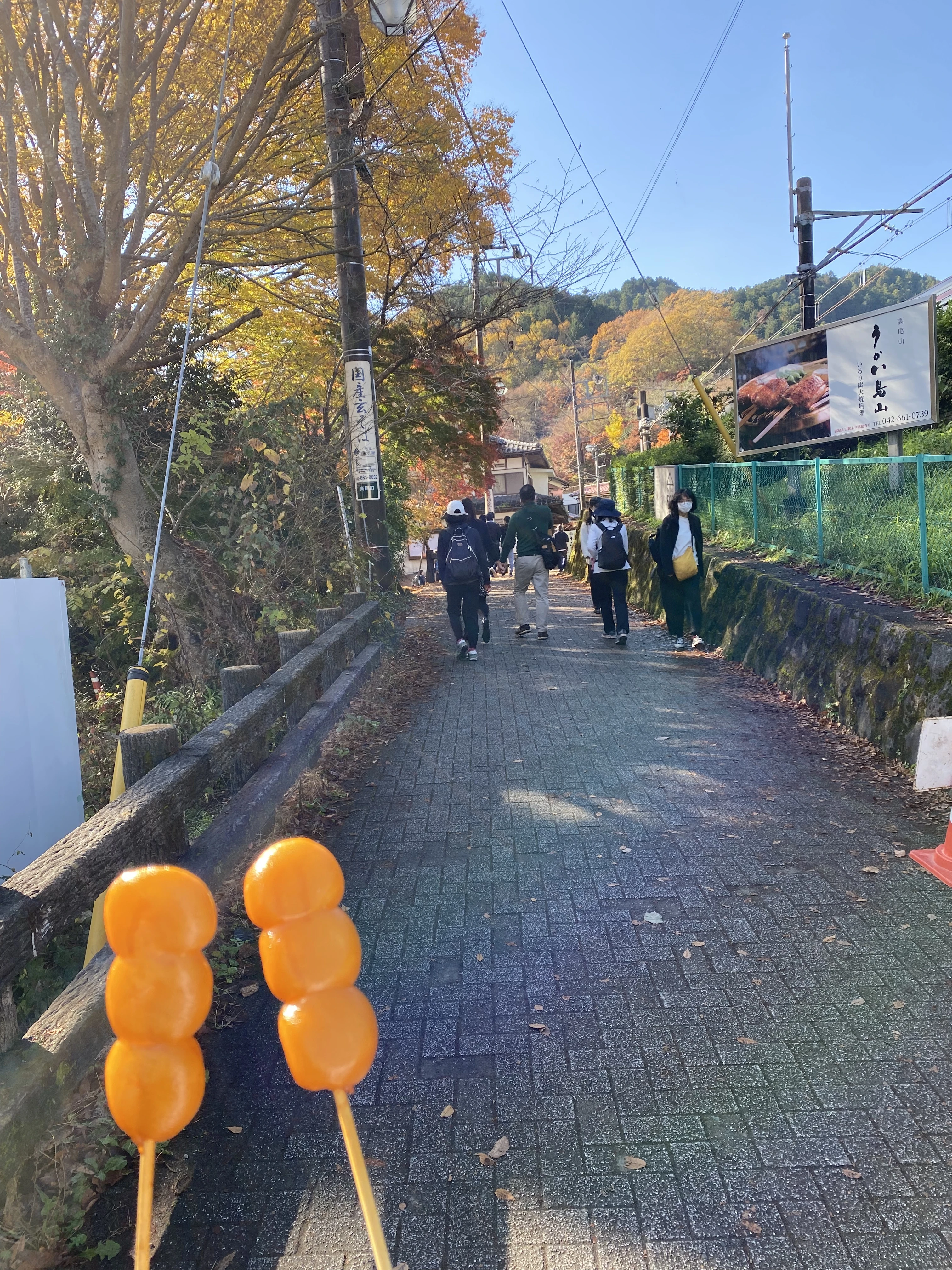 紅葉が綺麗な11月に、東京都八王子市にある高尾山に登山しに行った際に、「高尾山口駅」にあったお団子屋さん前で撮った、しょうゆ団子の写真です。奥には高尾山に向かって伸びる道があり、道の脇には紅葉で黄色や赤に色づき始めた木々があります。手前には、串が通った醤油団子が２つあります。