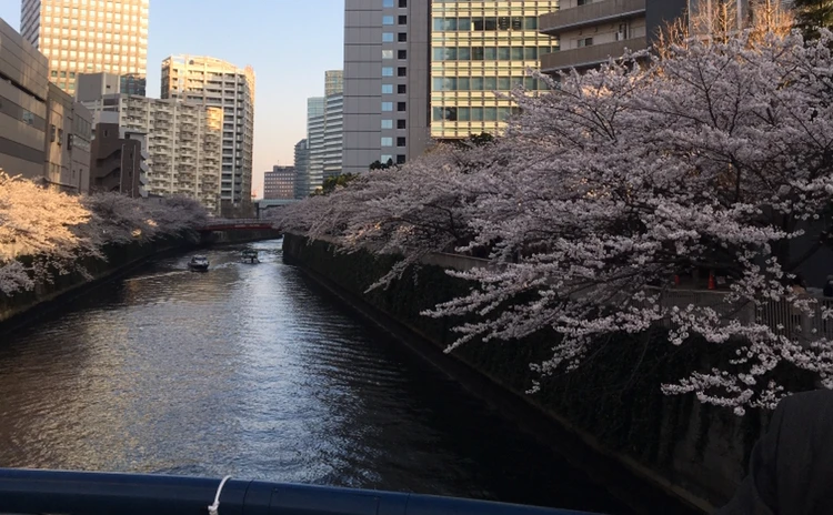 春がきた♡桜のコーデ_1_2