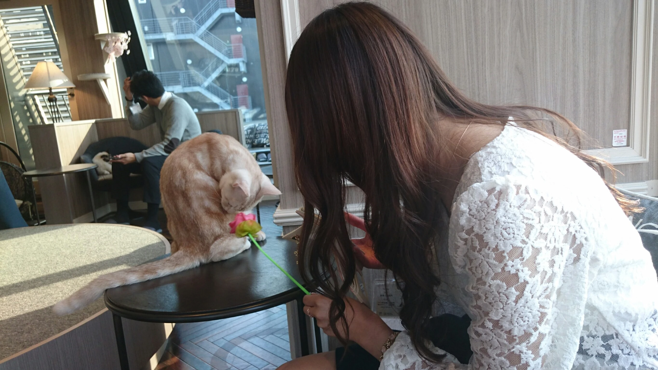 初！猫カフェに行ってきました♡_1_4