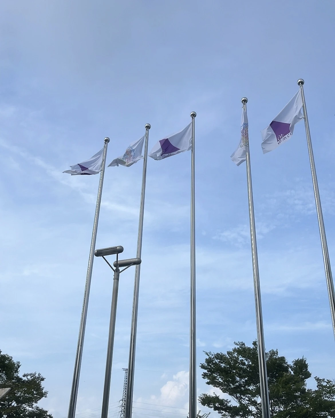 乃木坂46の旗の写真