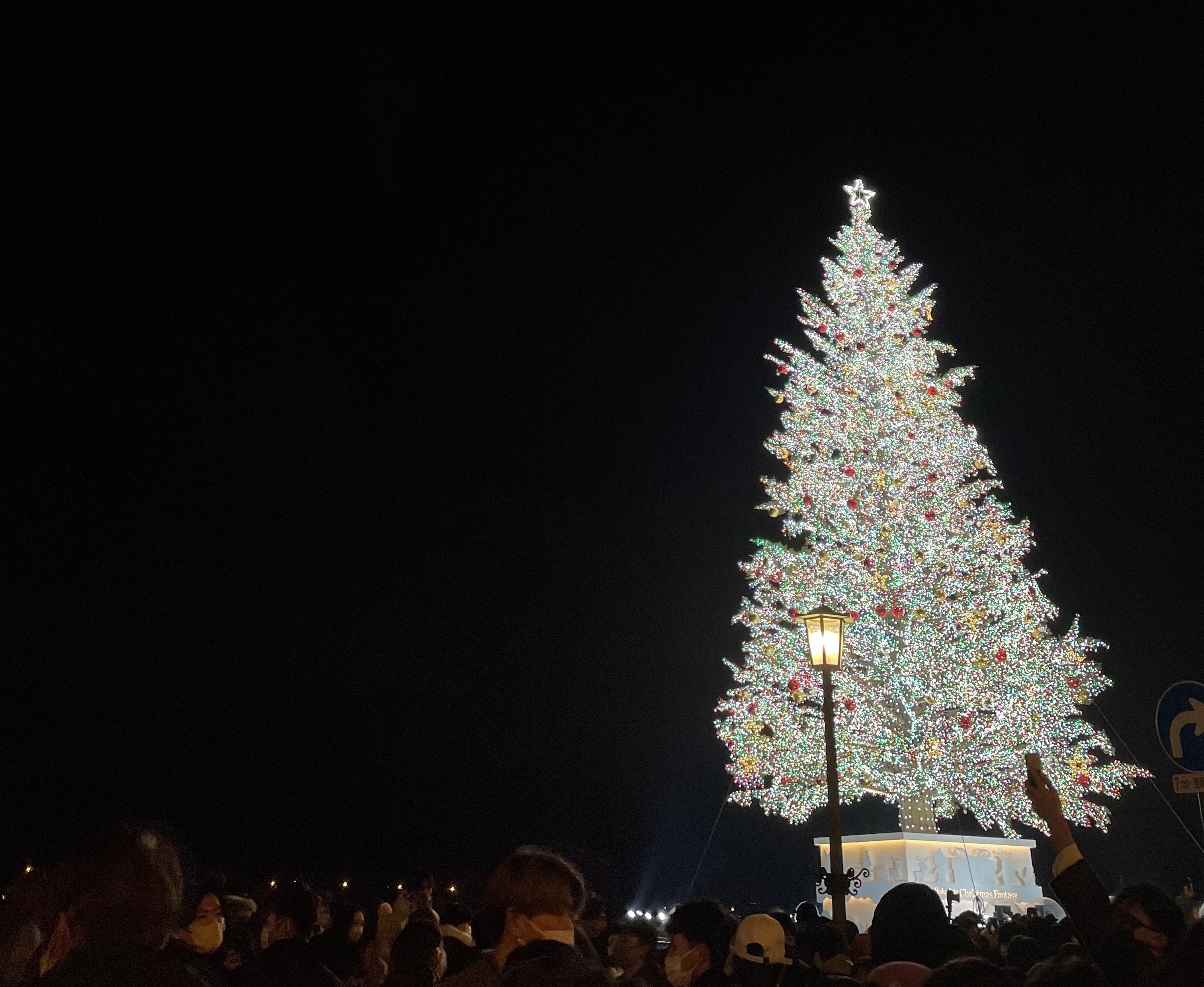 「はこだてクリスマスファンタジー」の巨大クリスマスツリー